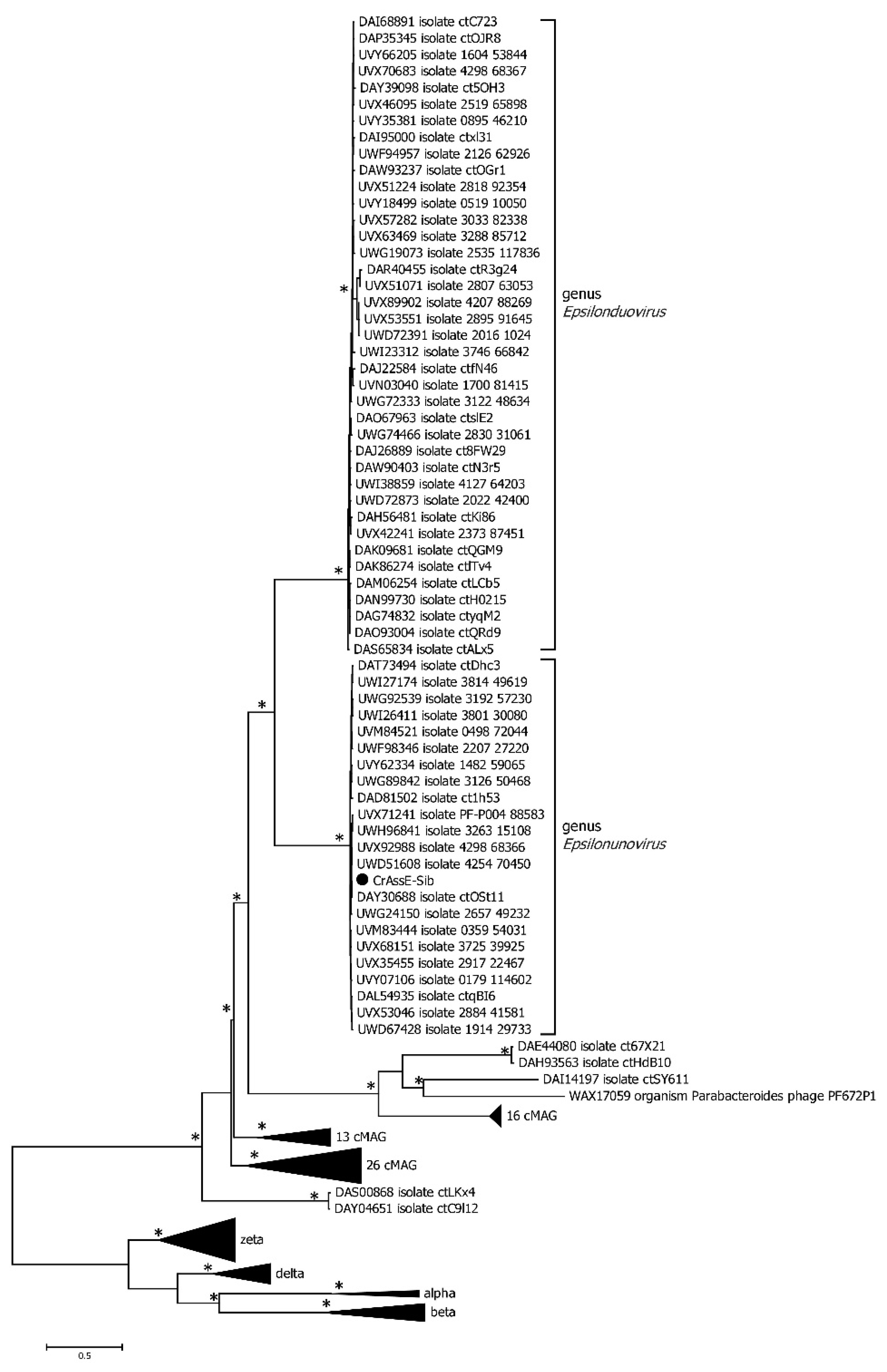 Preprints 92706 g006