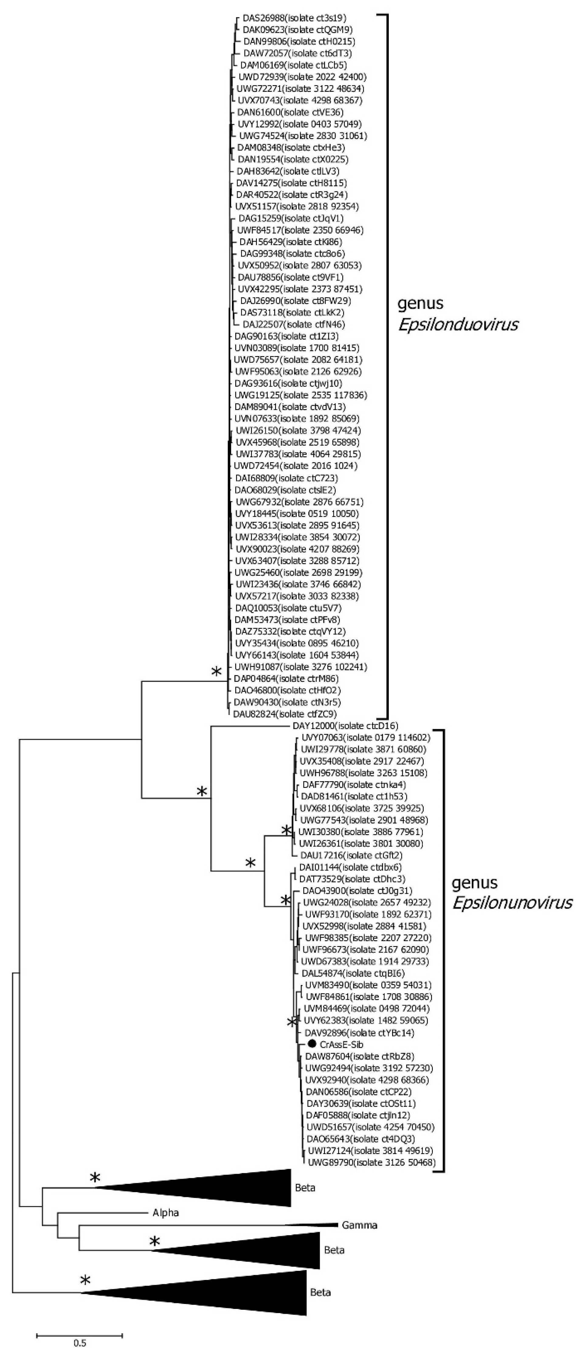 Preprints 92706 g007