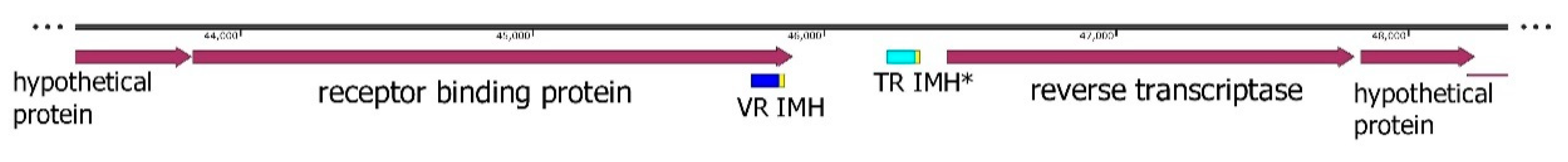 Preprints 92706 g008