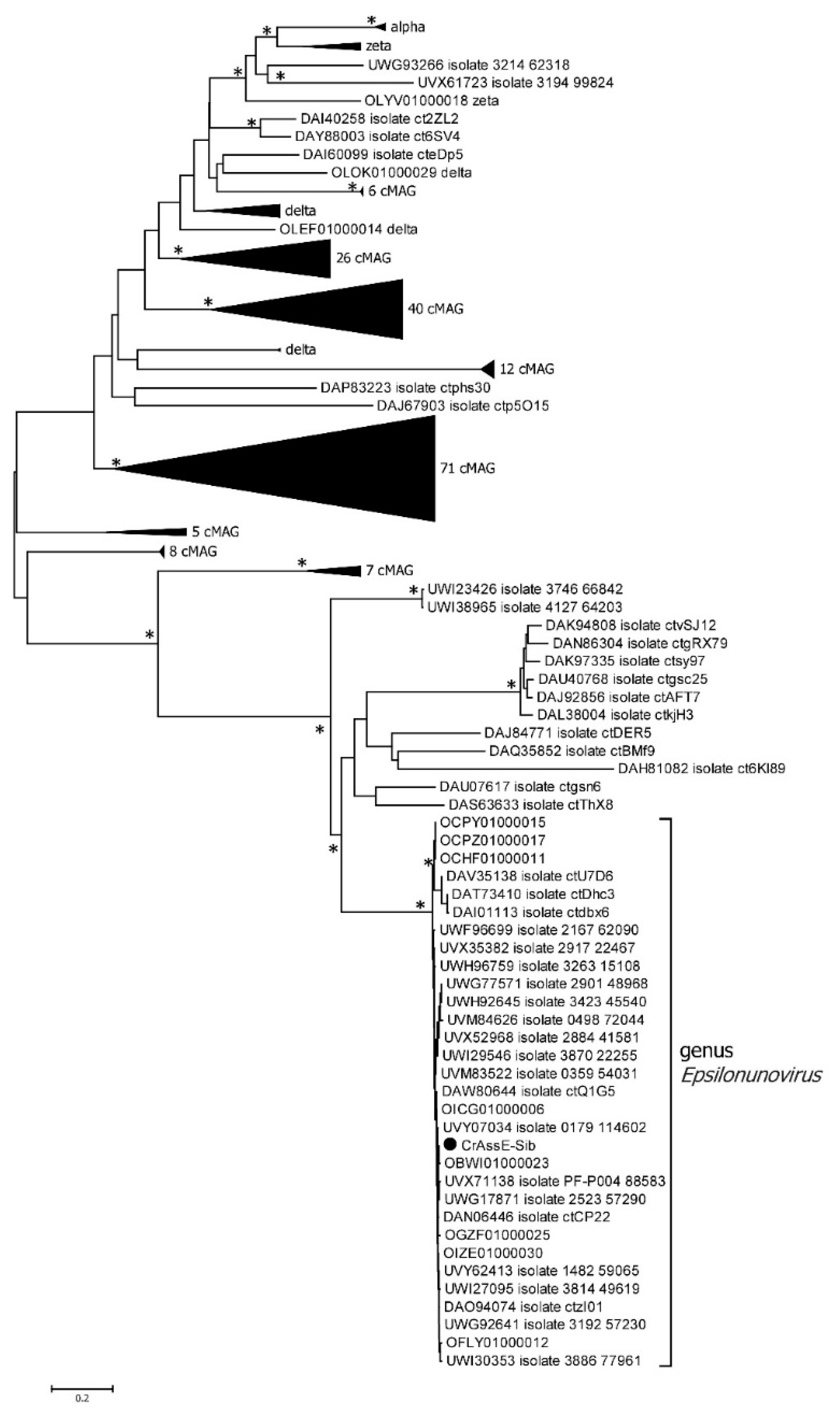 Preprints 92706 g010