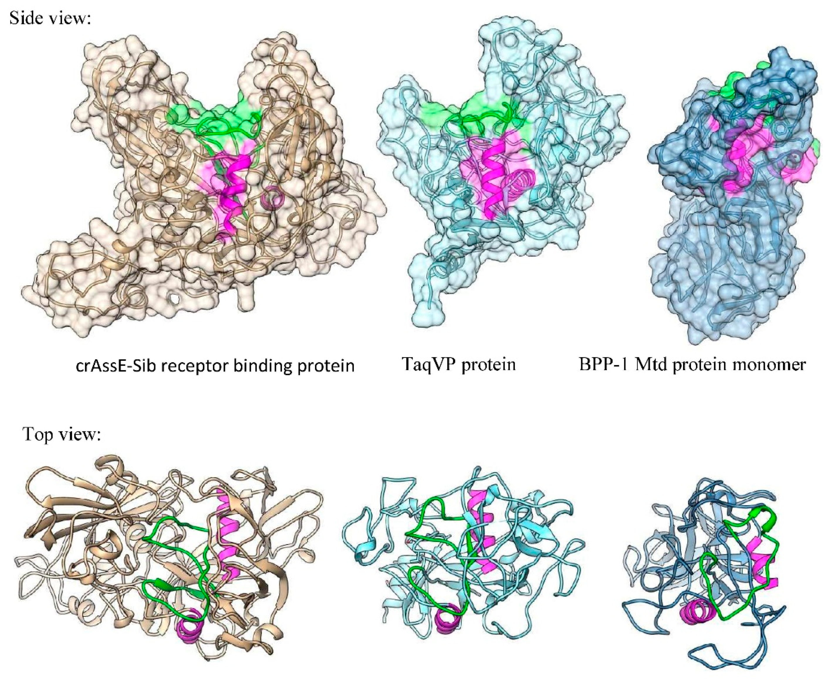 Preprints 92706 g011