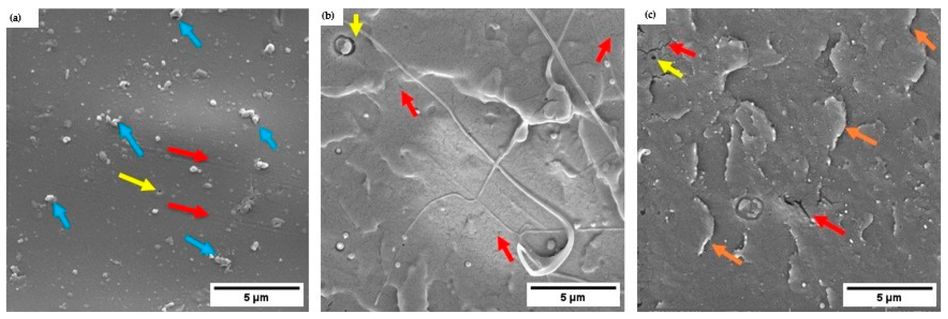 Preprints 98246 g006