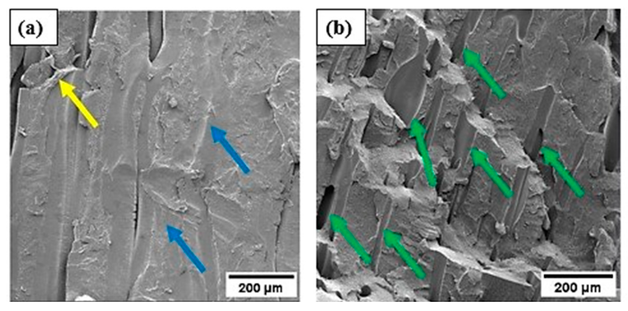 Preprints 98246 g013