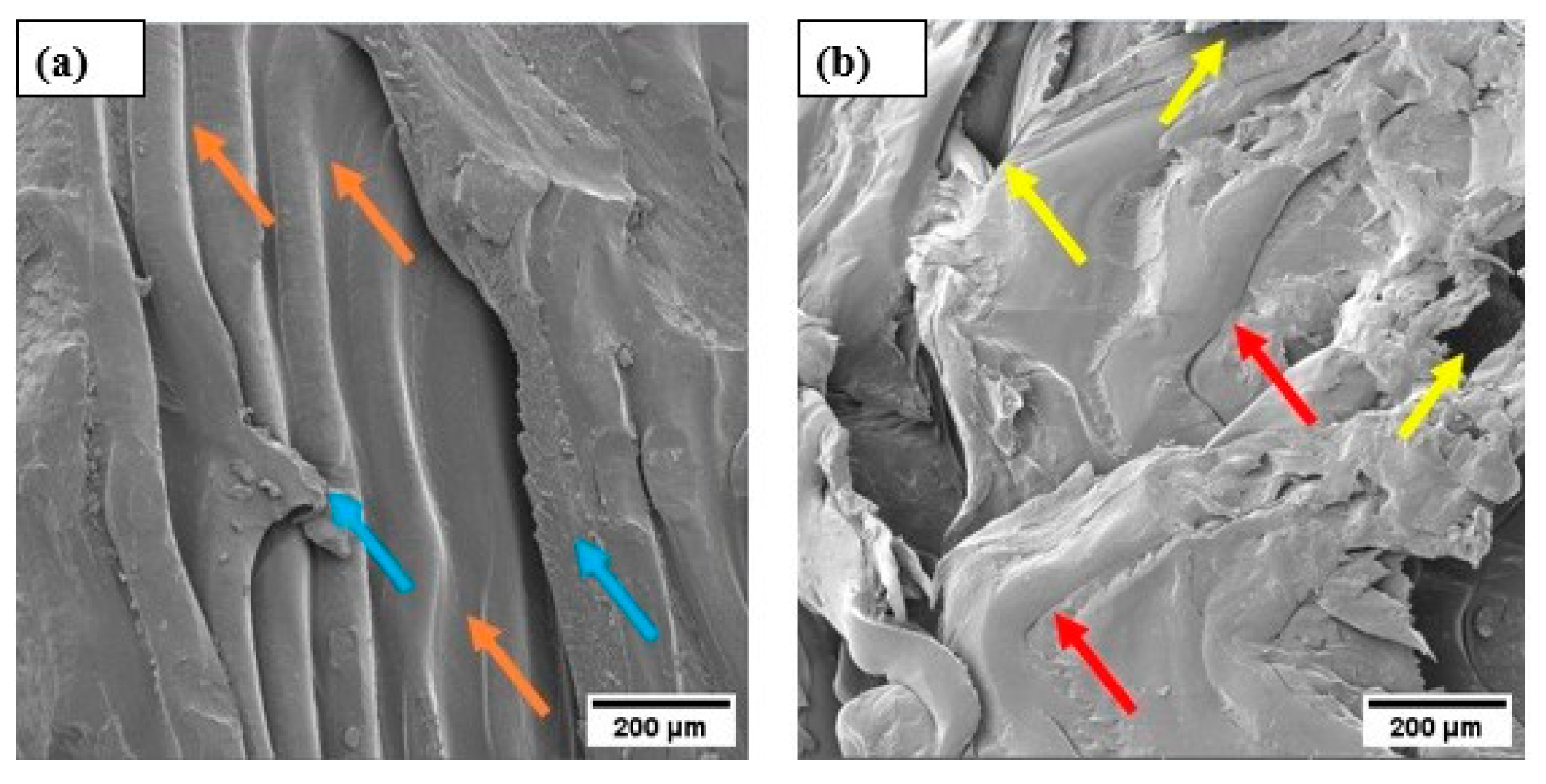 Preprints 98246 g015