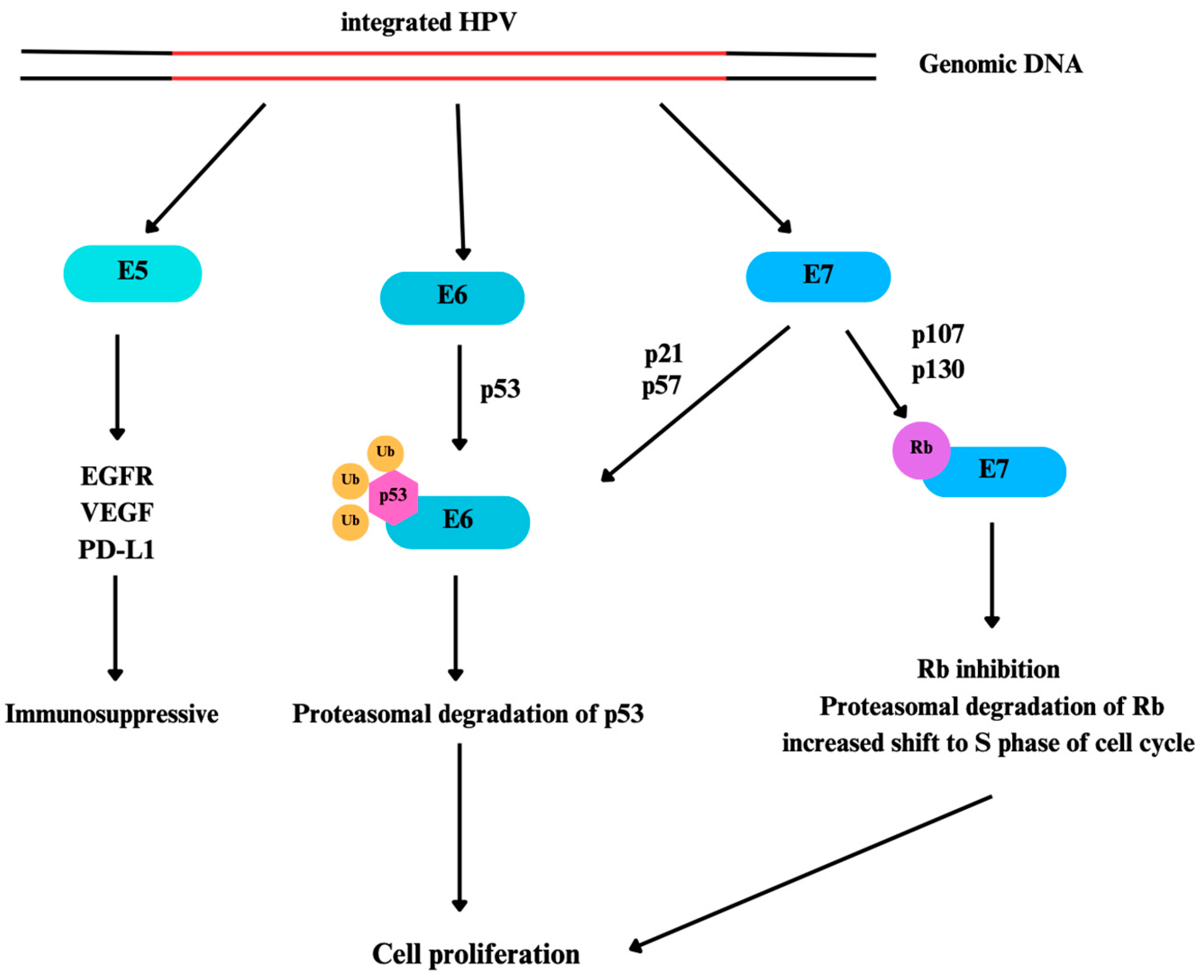 Preprints 117726 g001