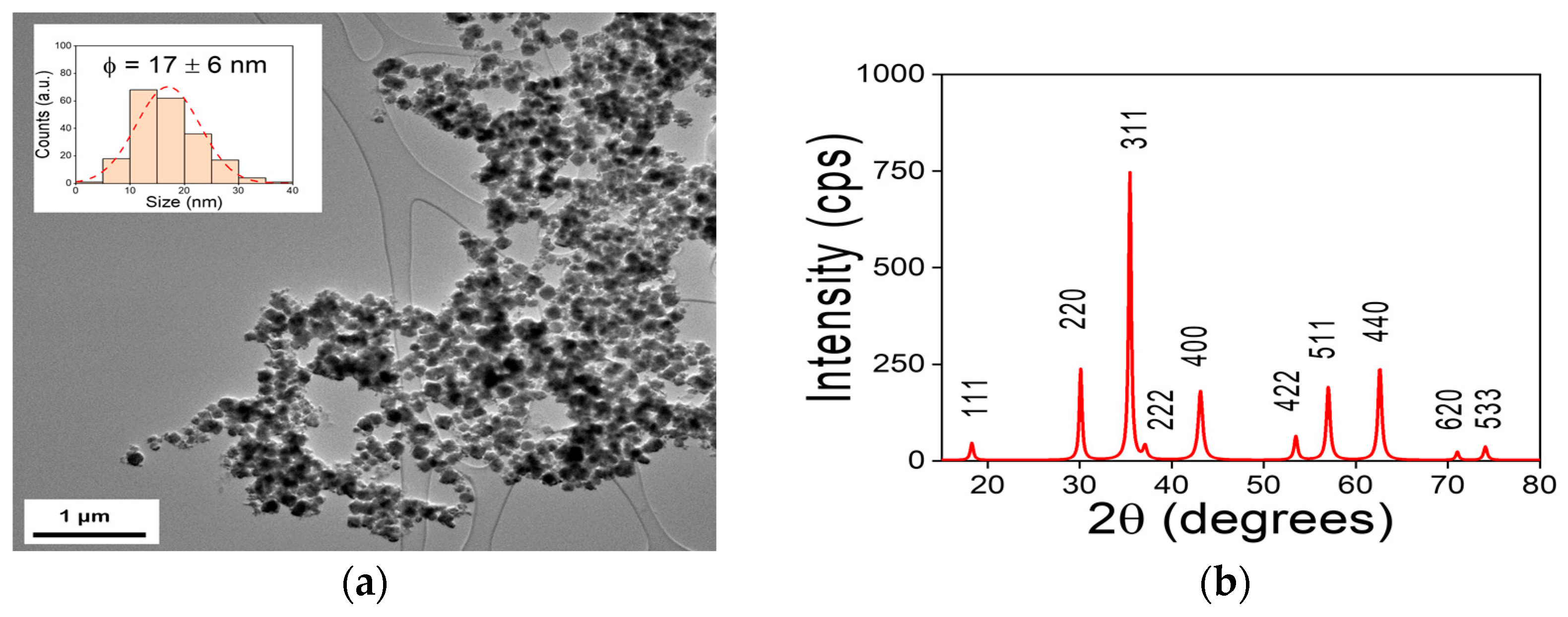 Preprints 87592 g002