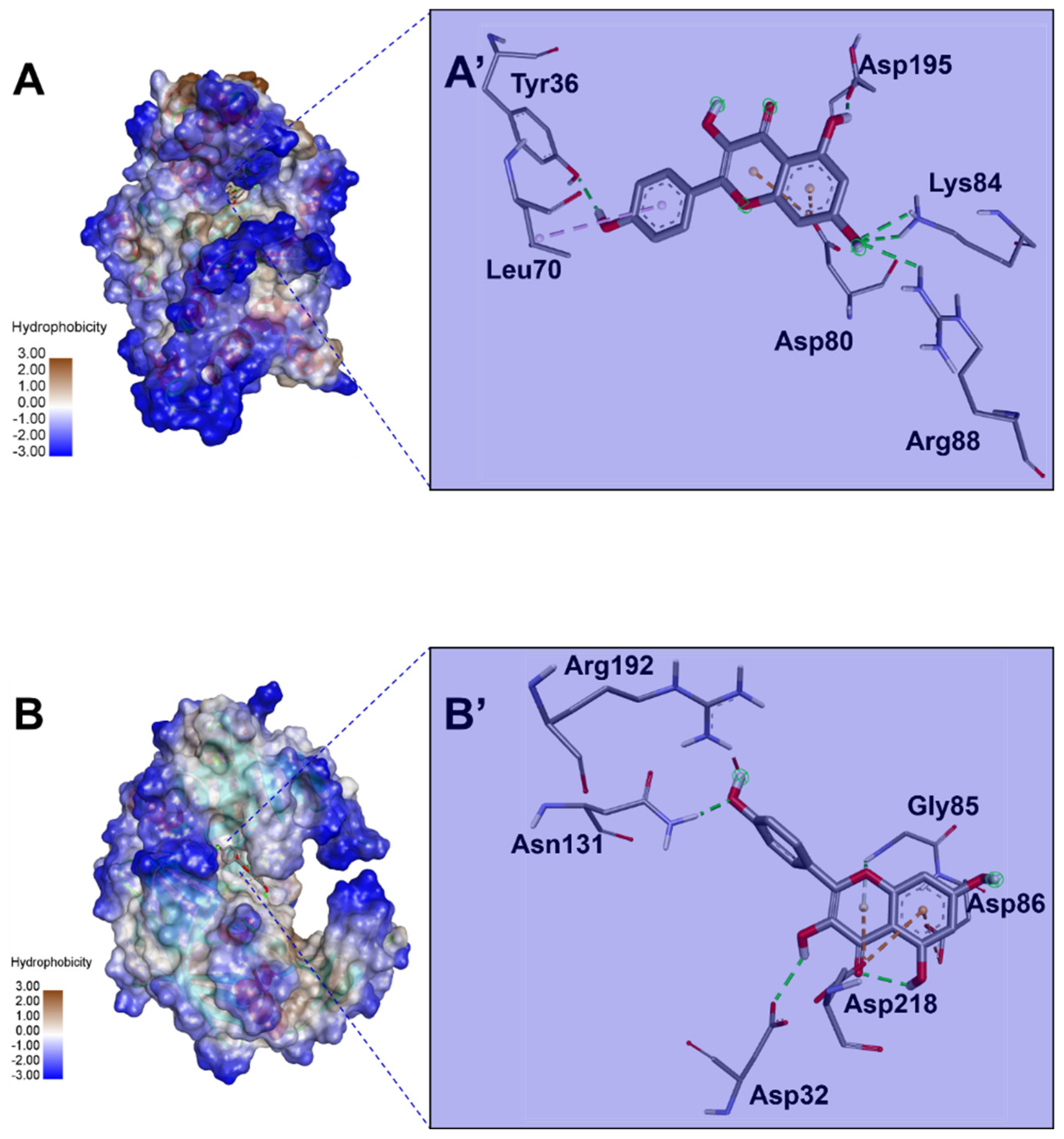 Preprints 118692 g003