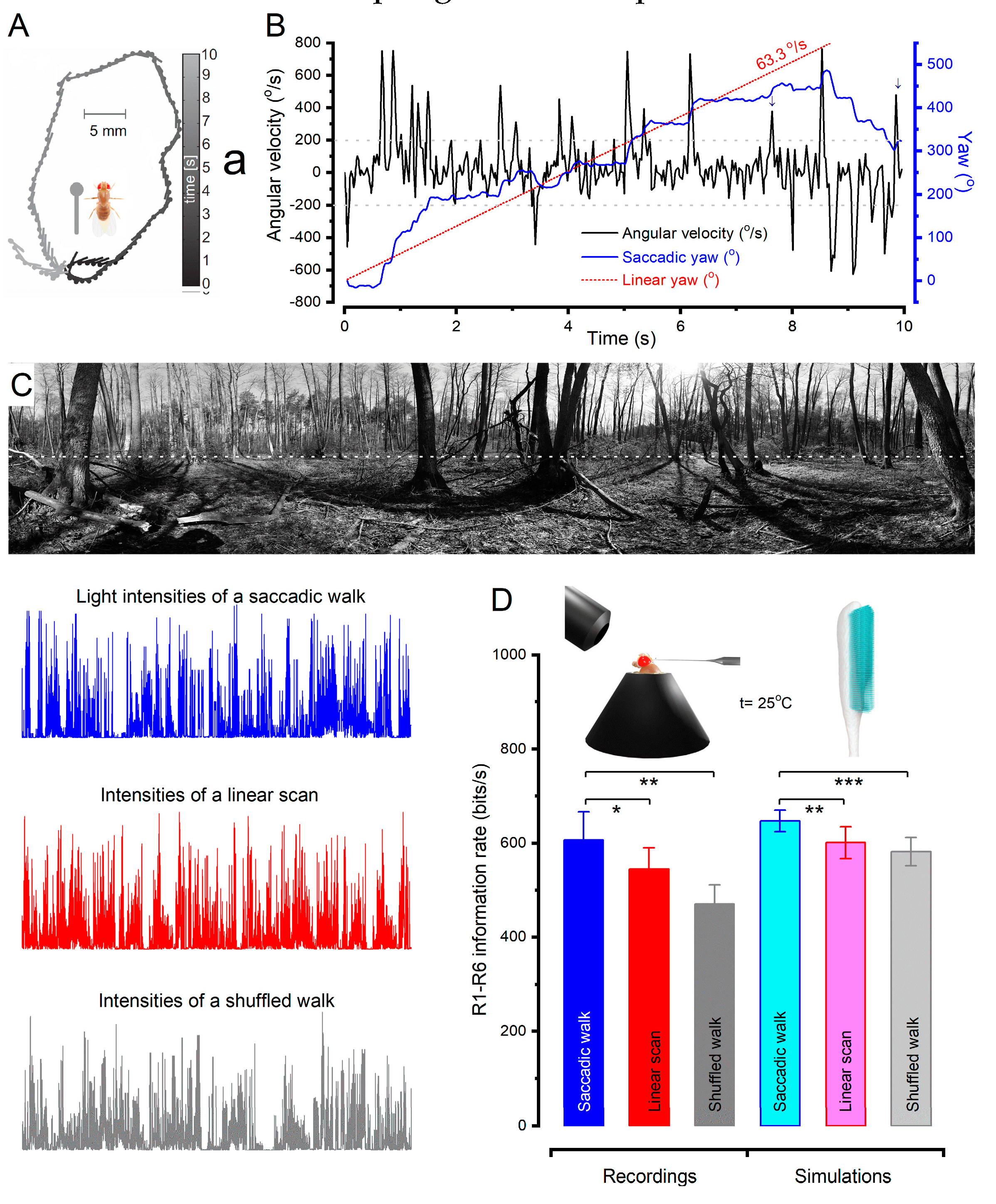 Preprints 82507 g003