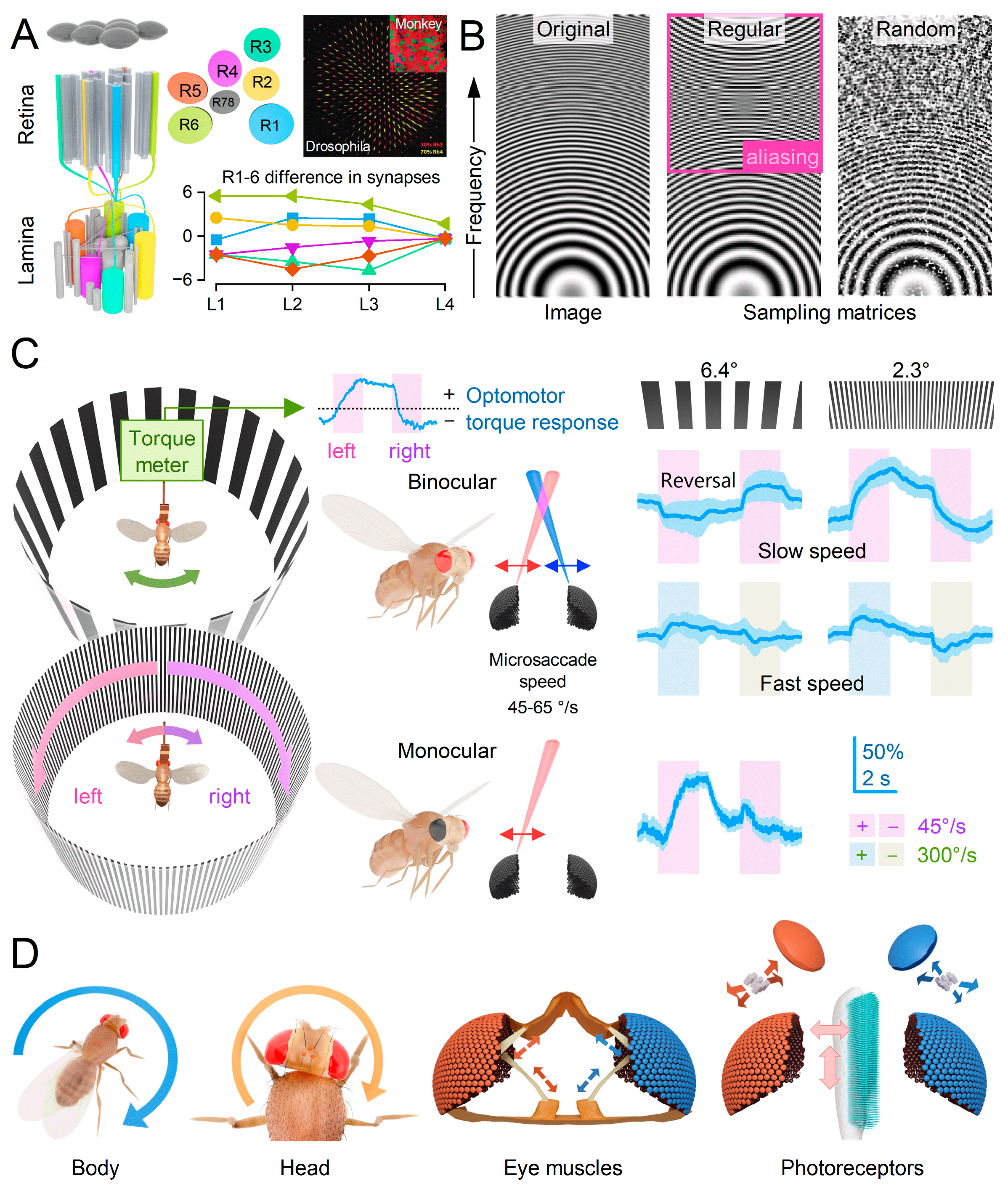 Preprints 82507 g006