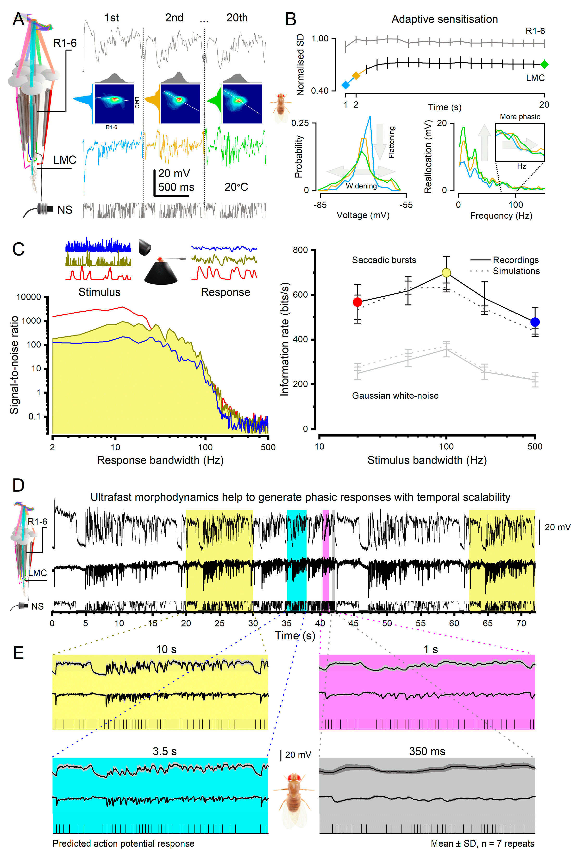 Preprints 82507 g007