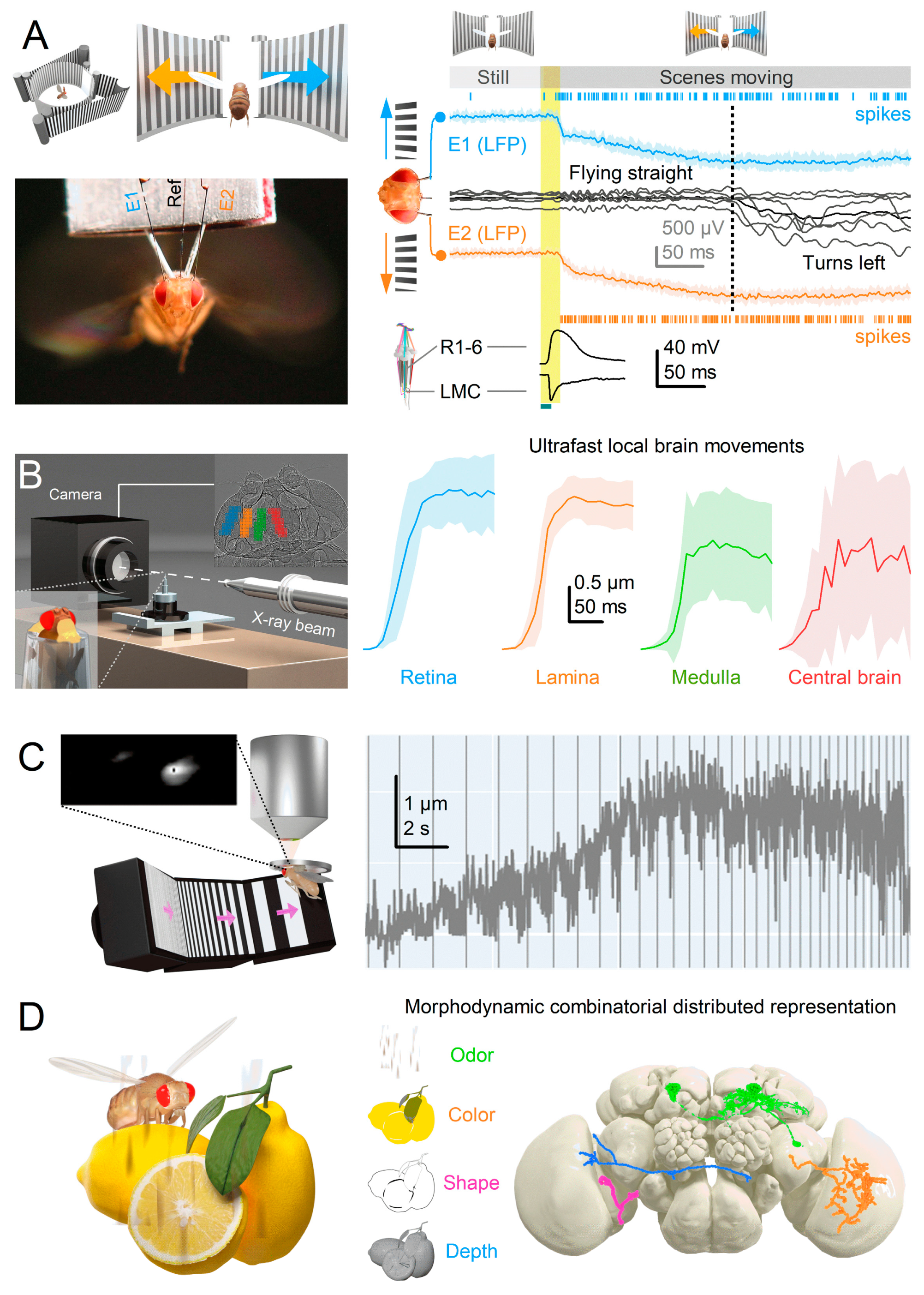 Preprints 82507 g008