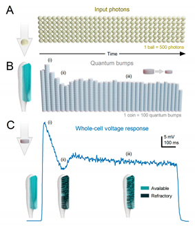 Preprints 82507 g009