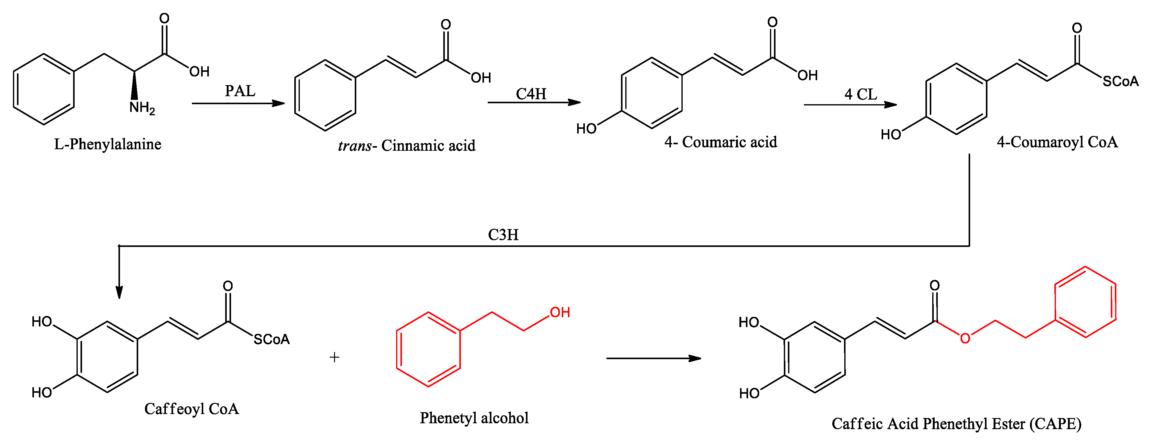 Preprints 75104 g002