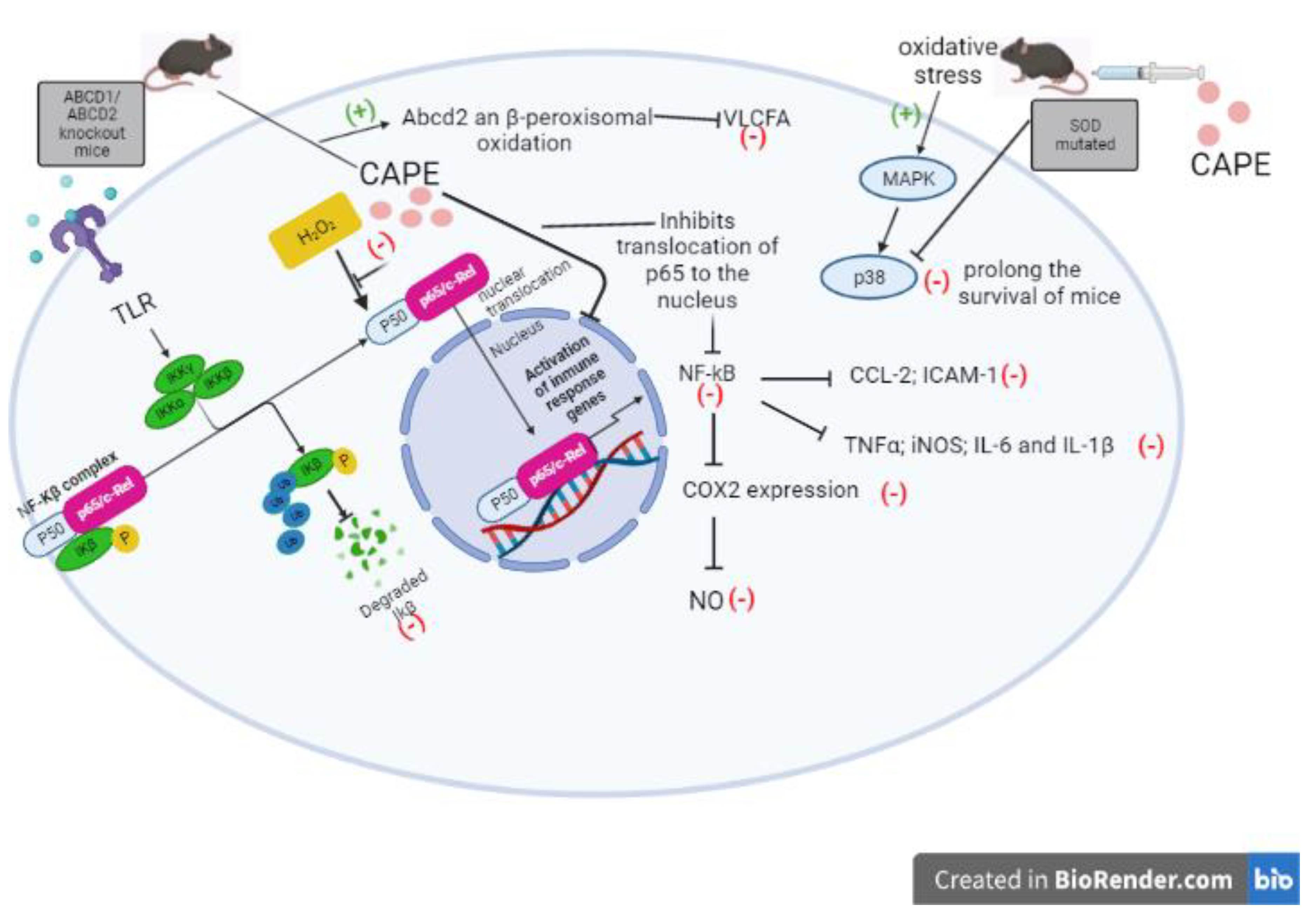 Preprints 75104 g009