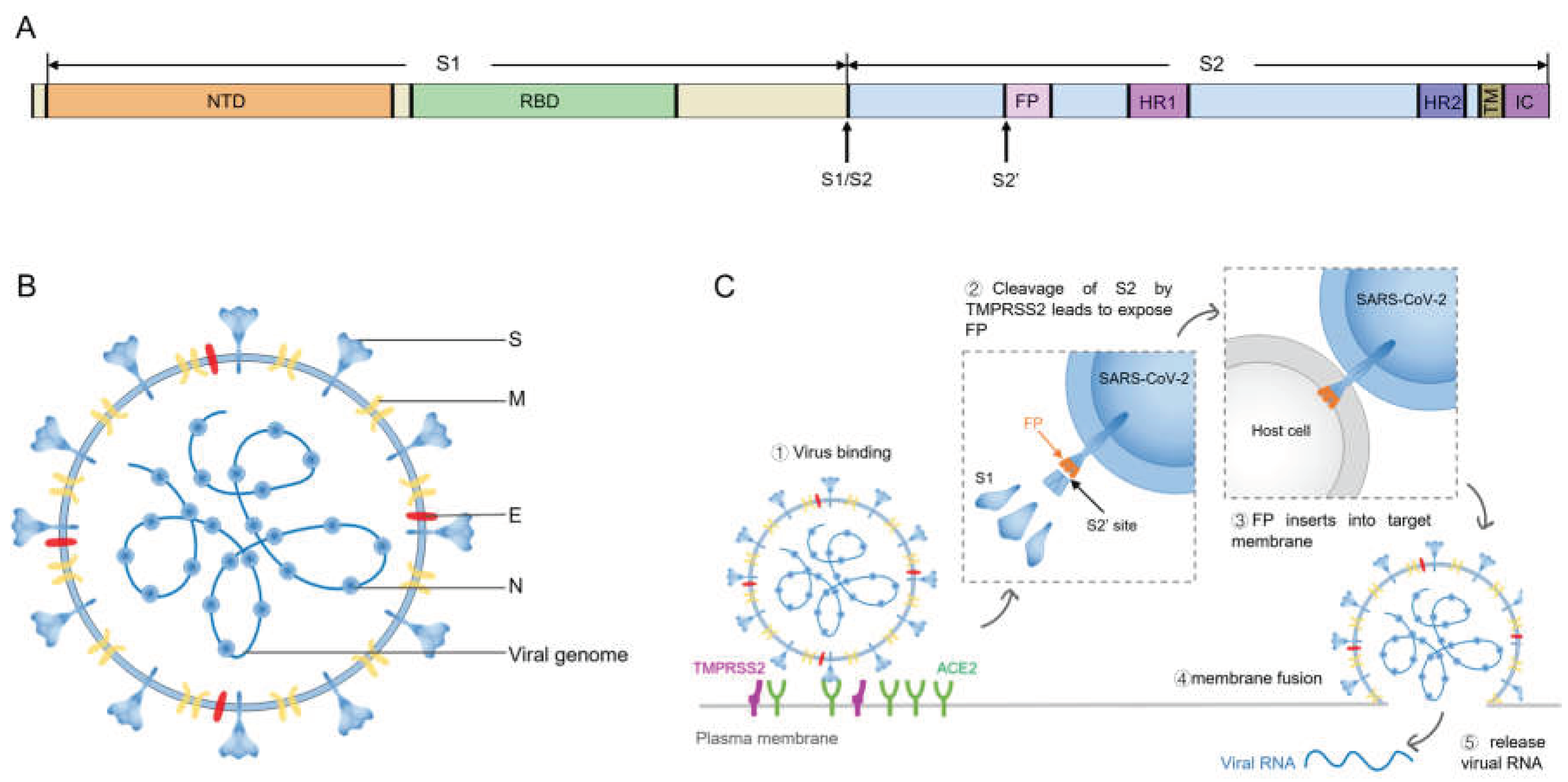 Preprints 103574 g001