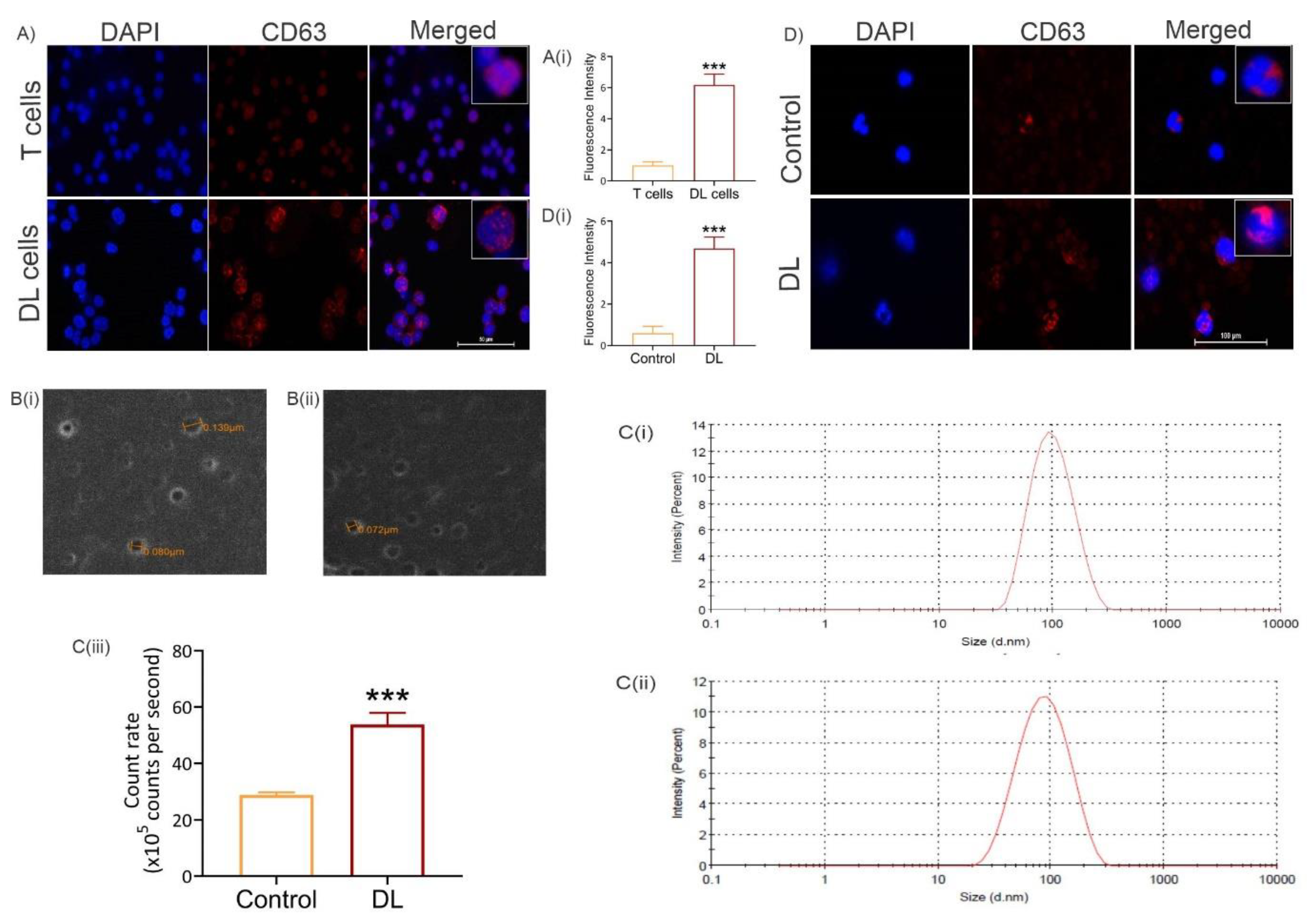 Preprints 70547 g002