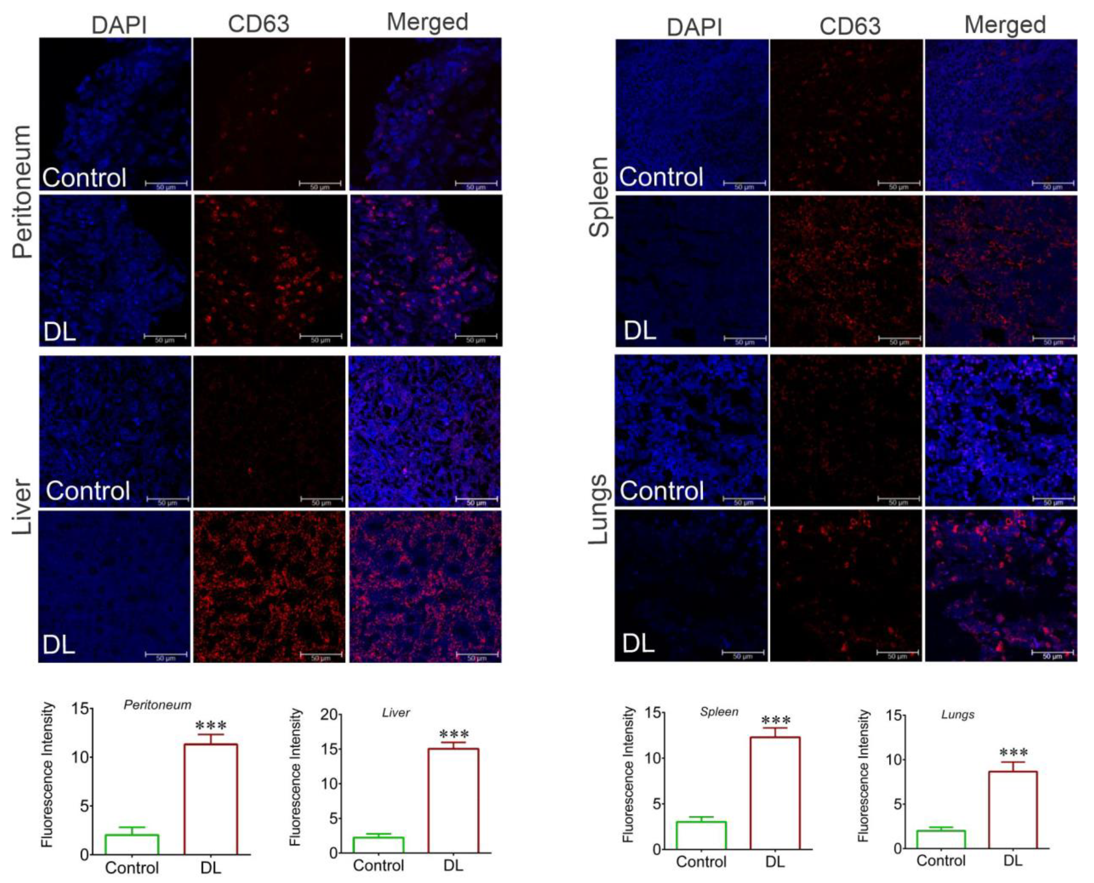 Preprints 70547 g003