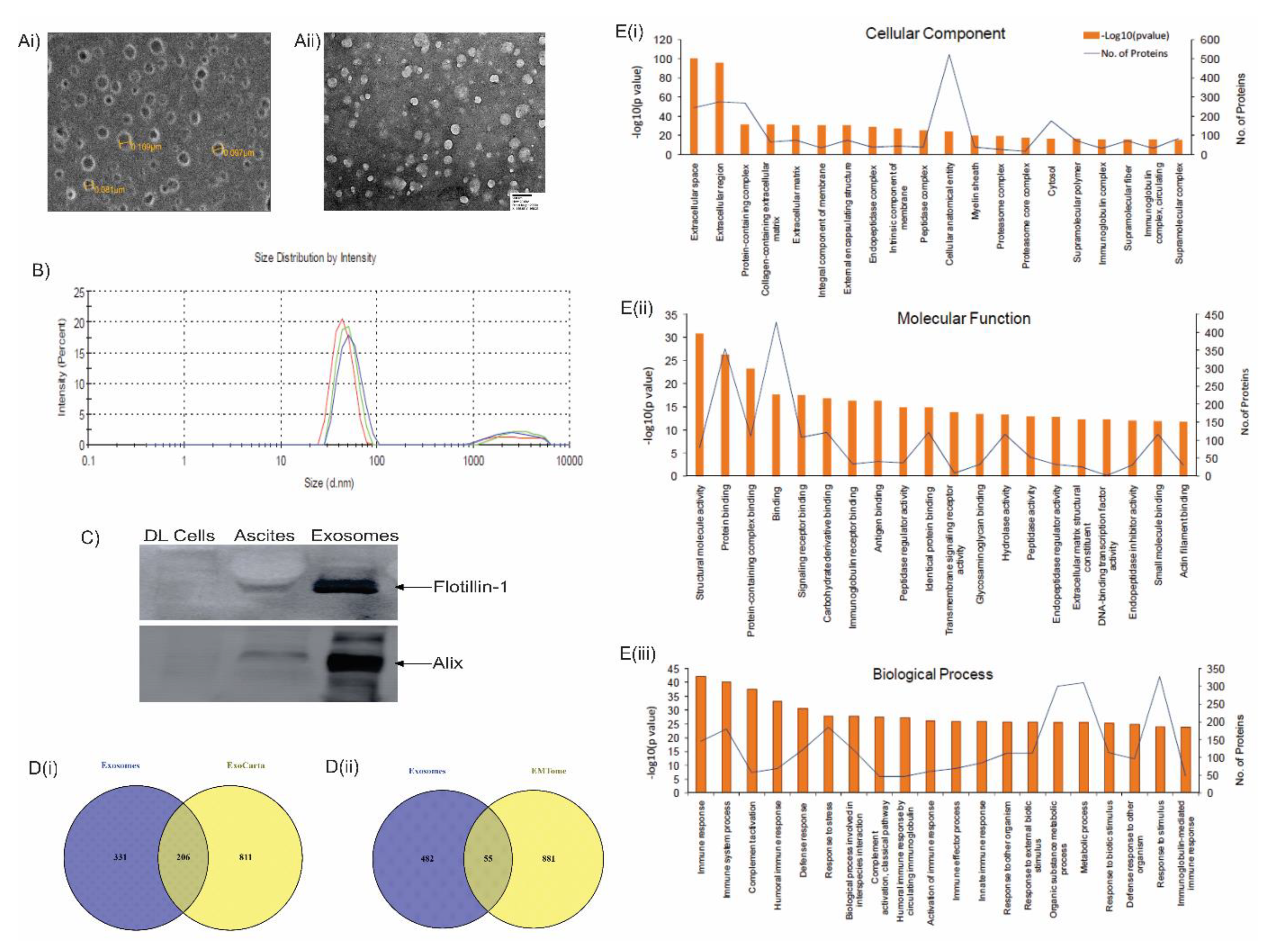 Preprints 70547 g004