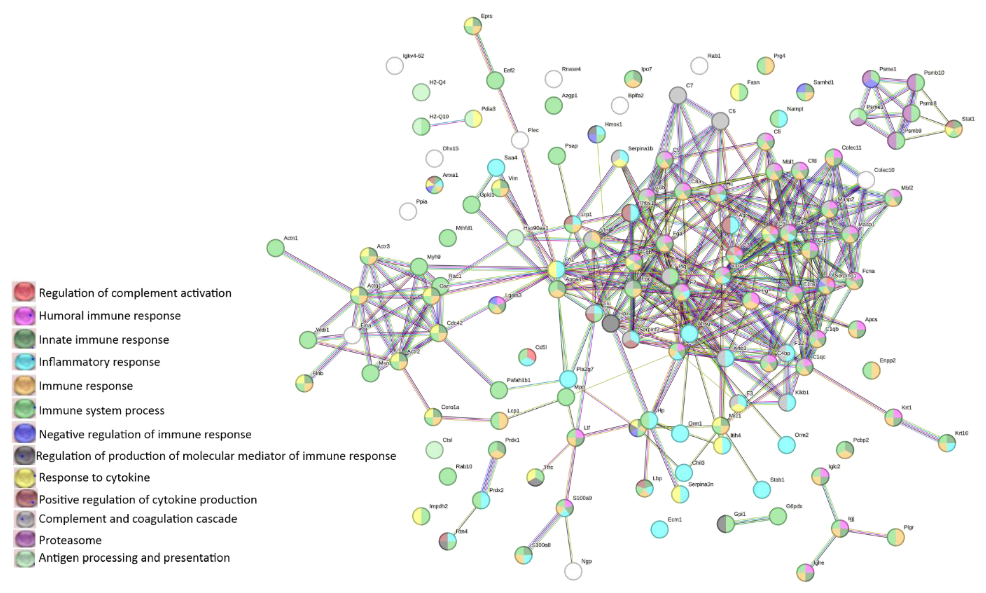 Preprints 70547 g005