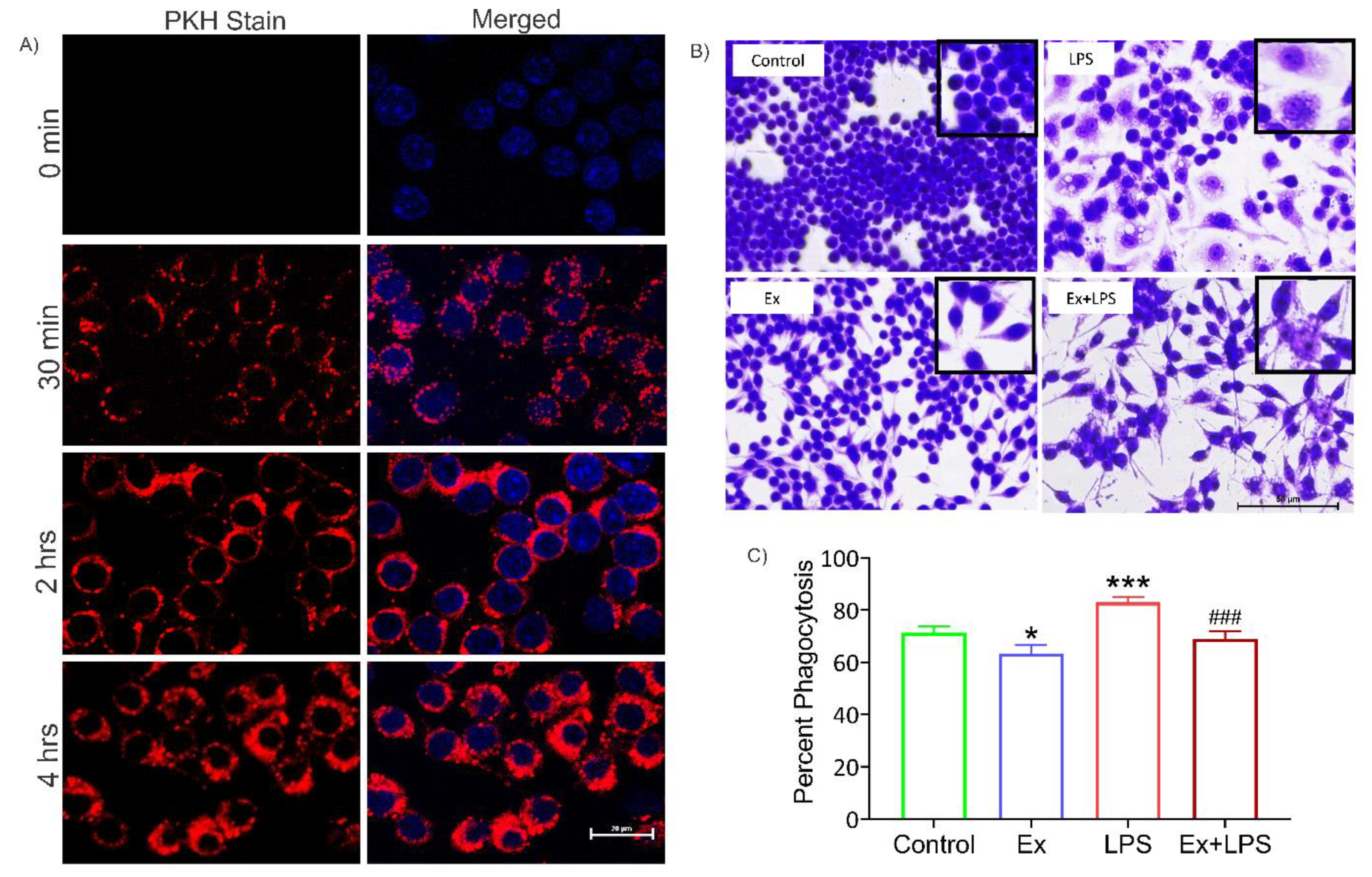 Preprints 70547 g006