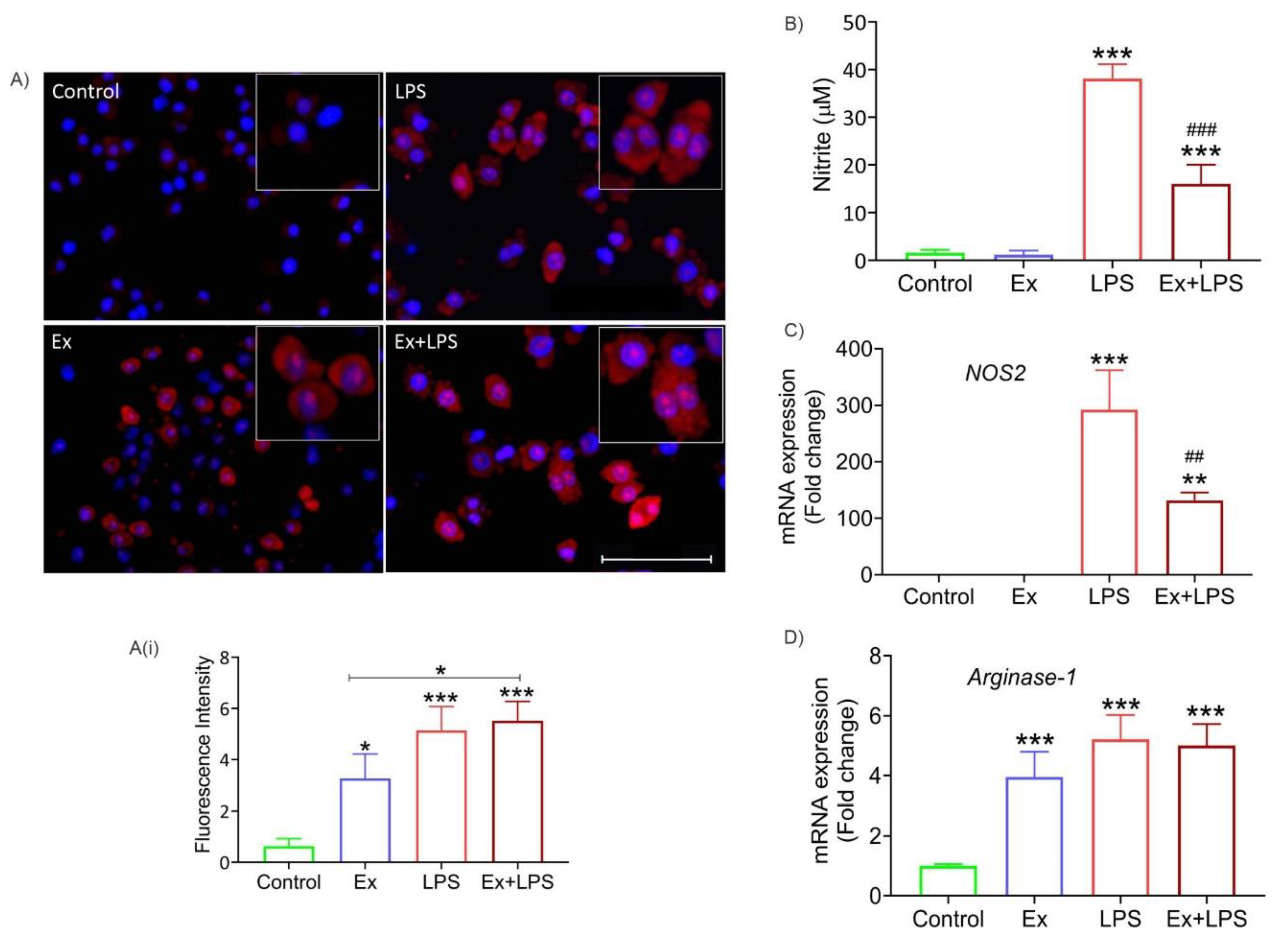 Preprints 70547 g007