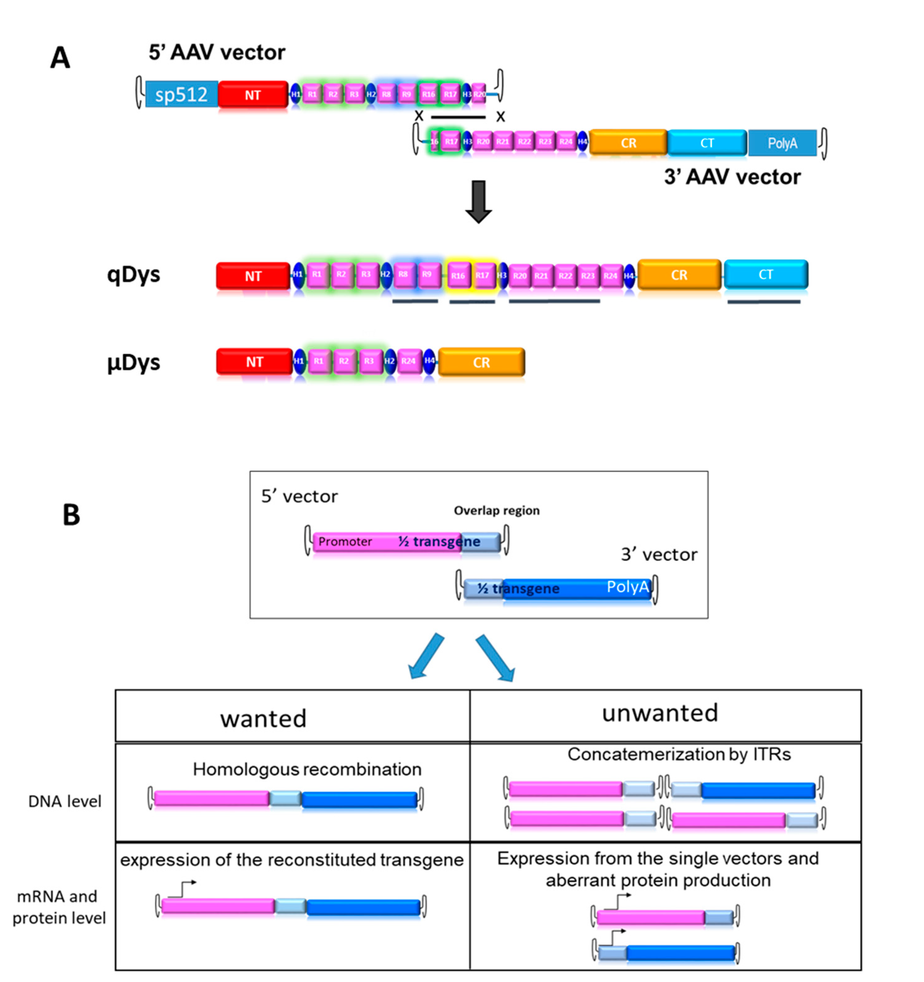 Preprints 77862 g001