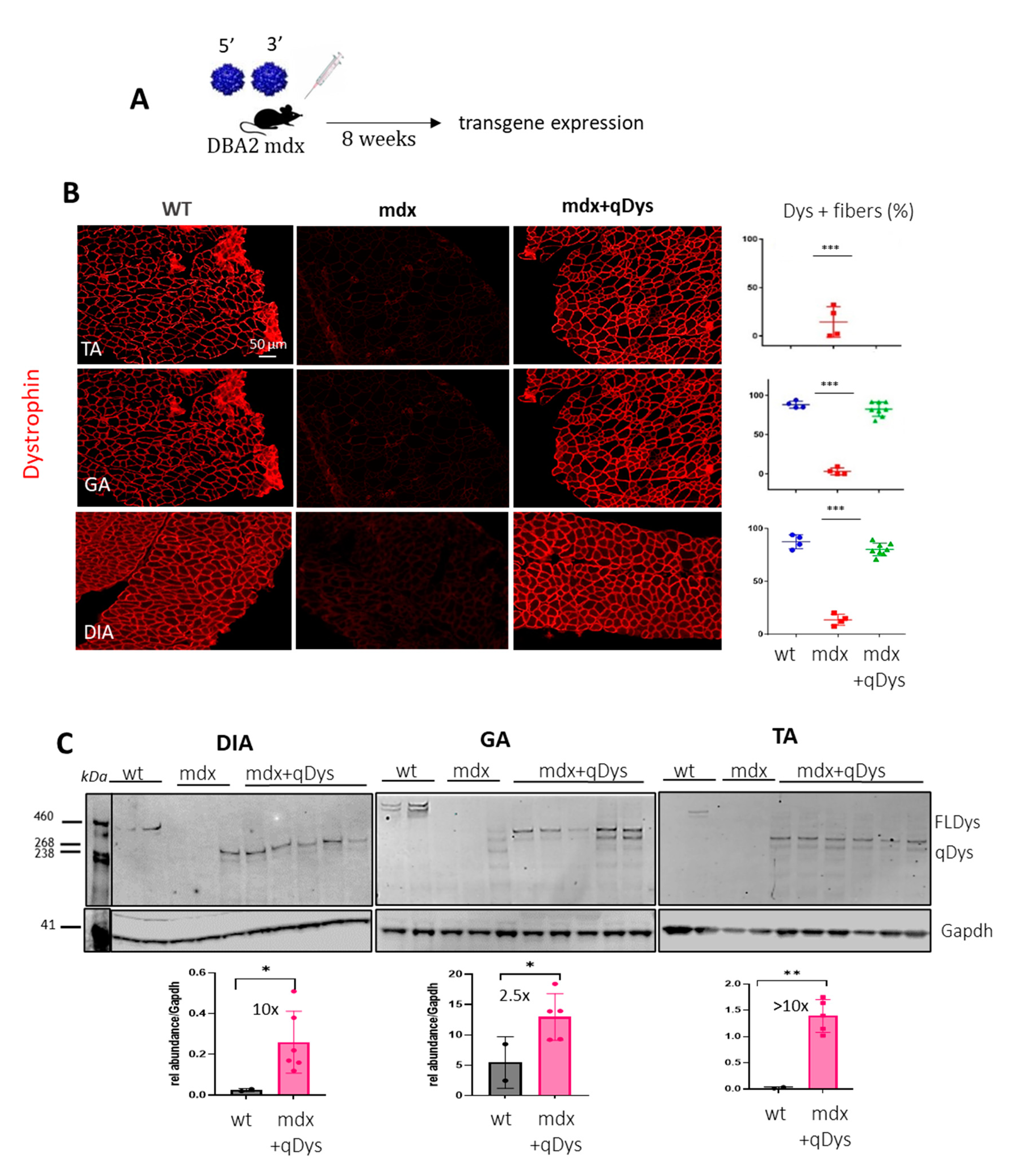 Preprints 77862 g002