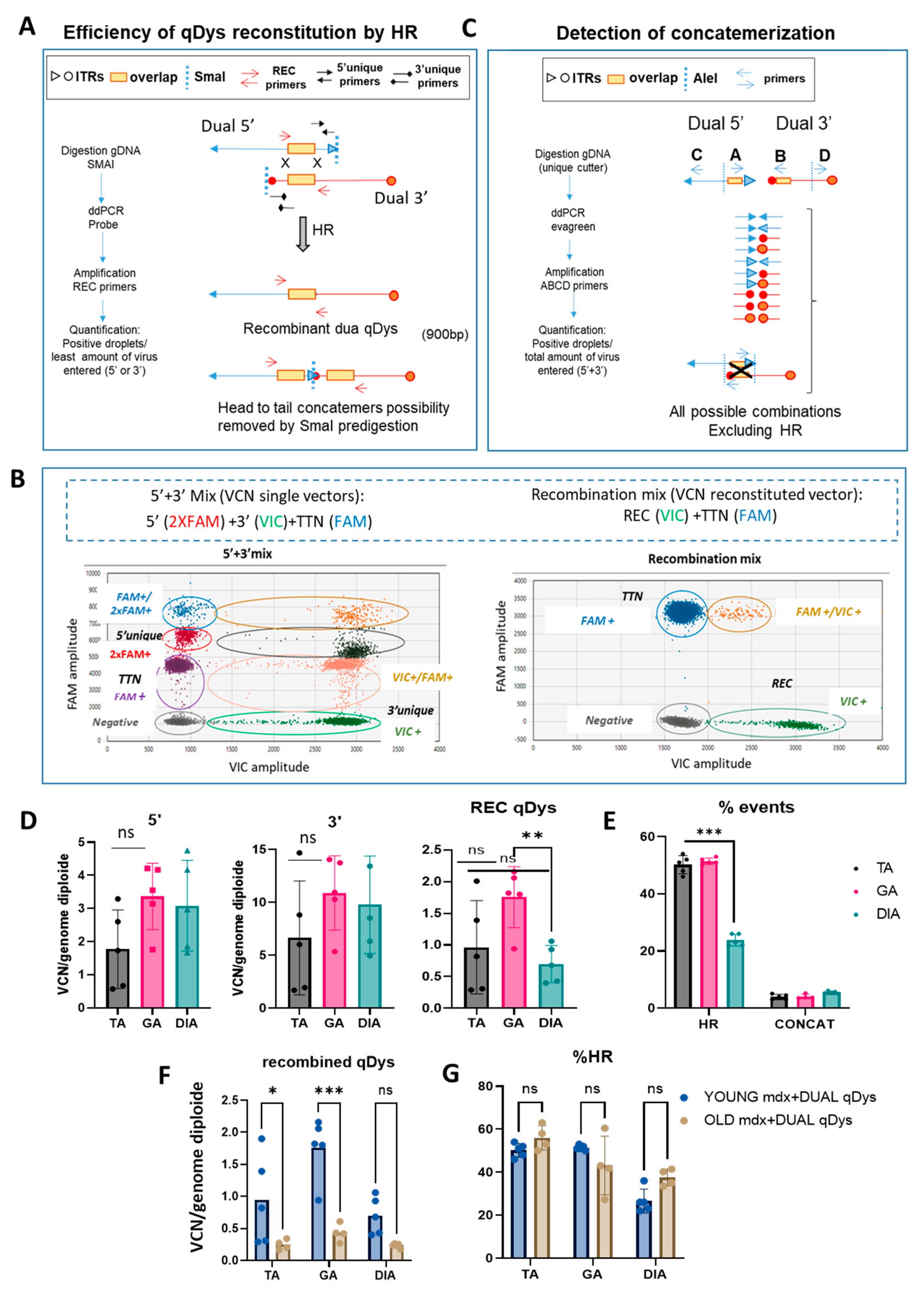 Preprints 77862 g003