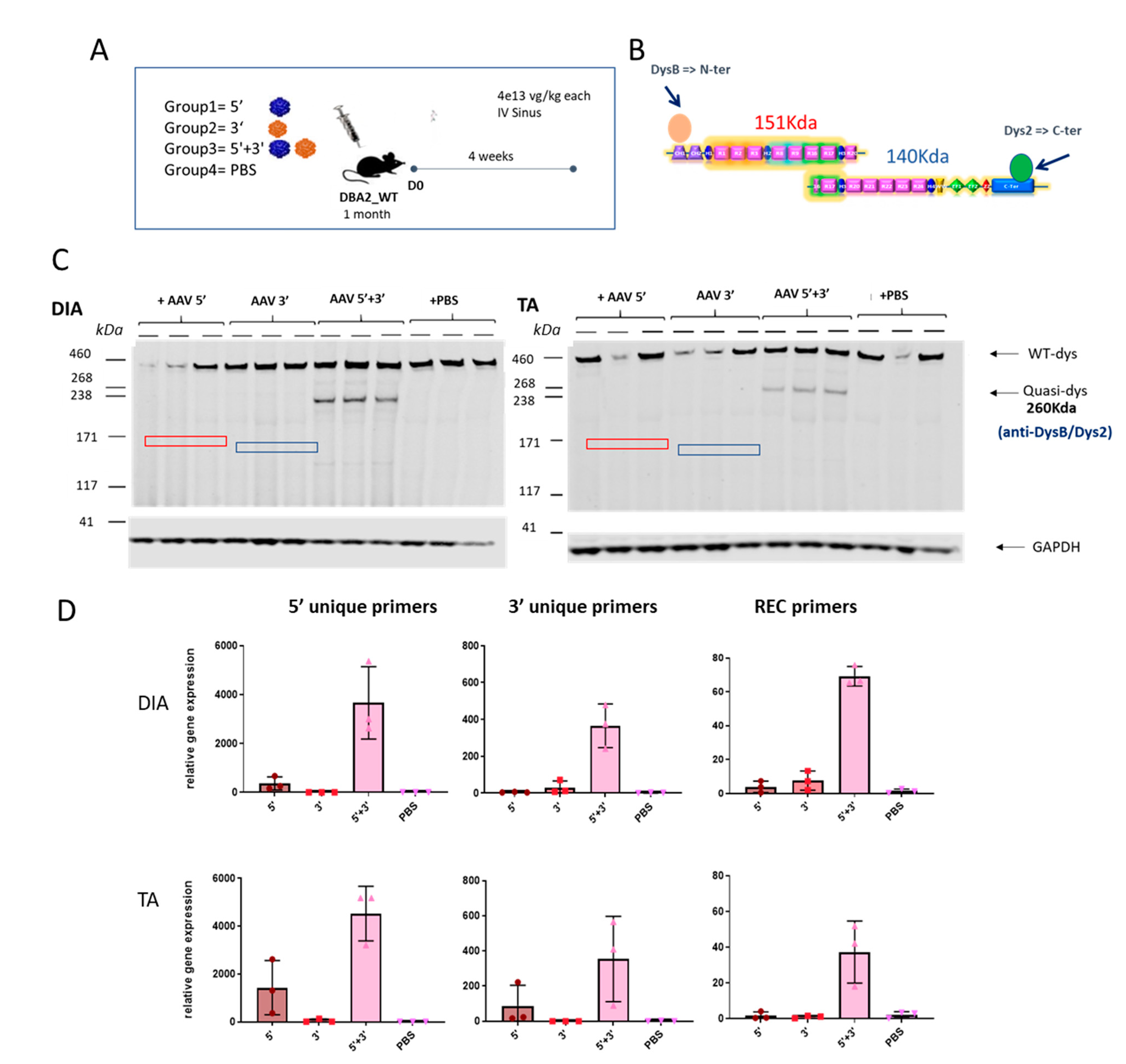 Preprints 77862 g004