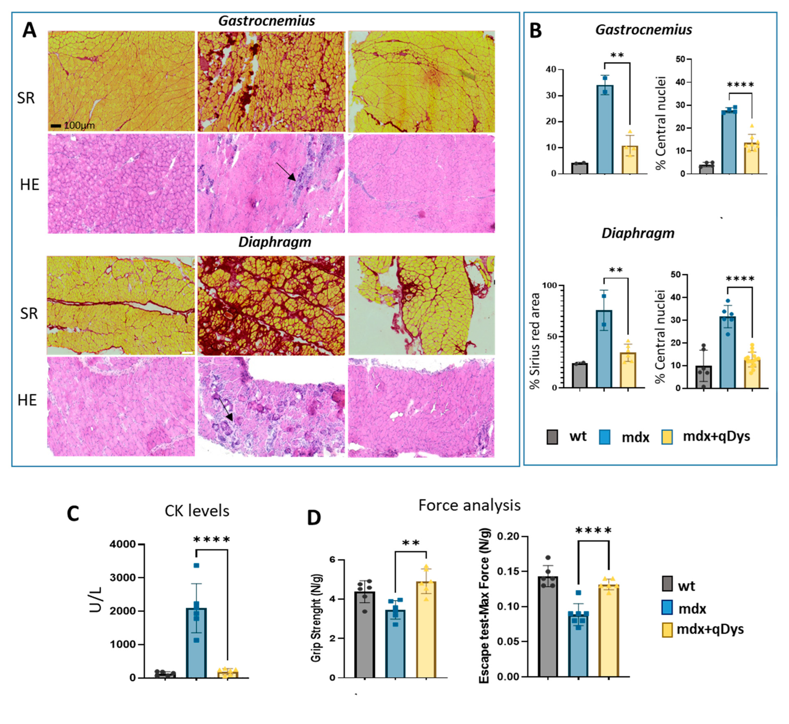 Preprints 77862 g005