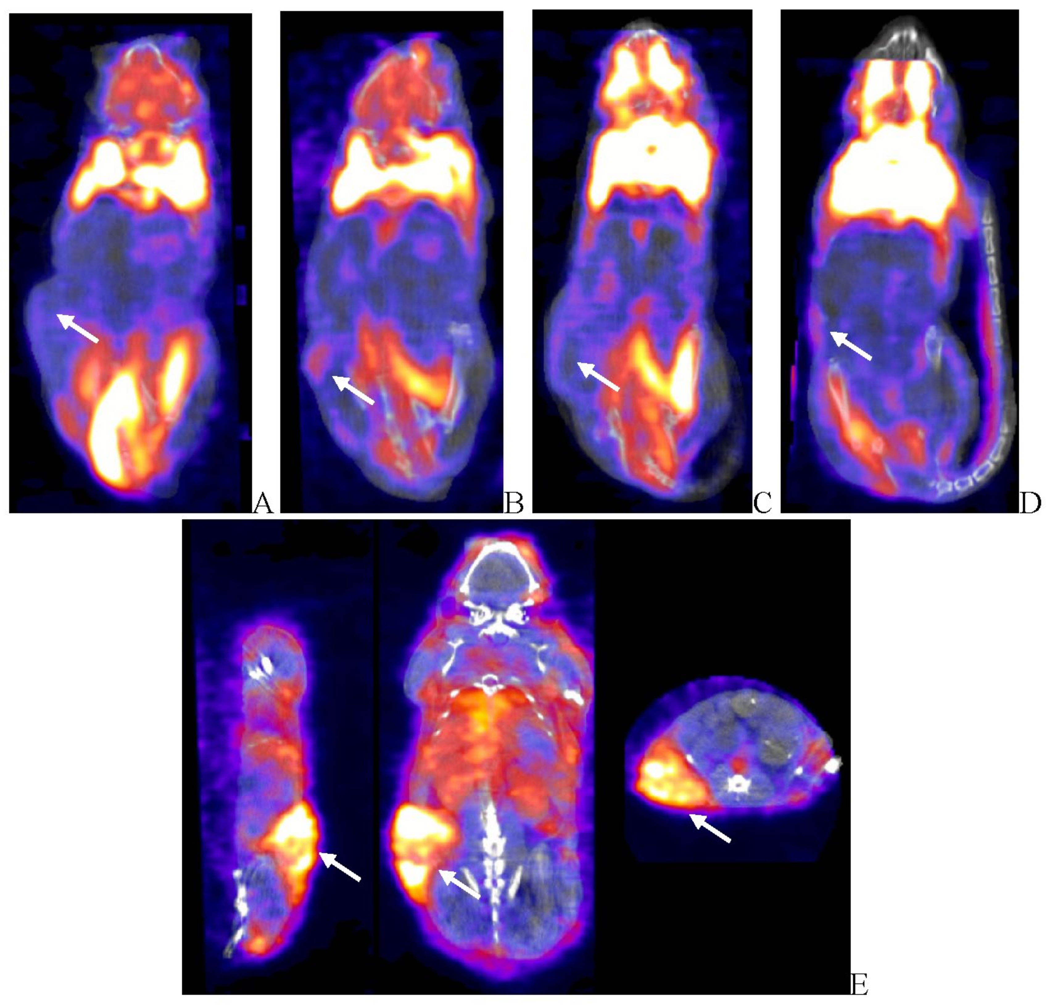 Preprints 105782 g006