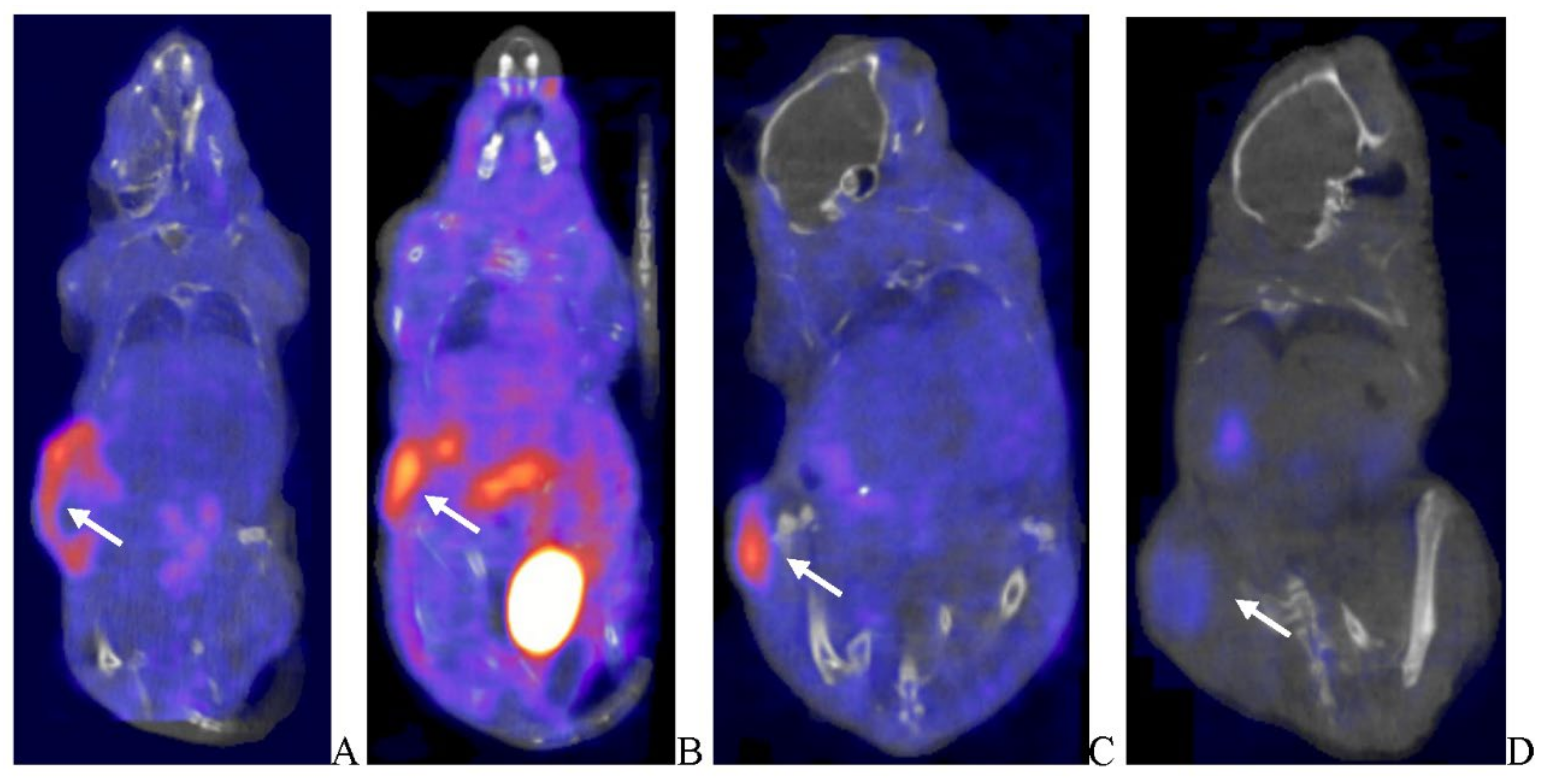 Preprints 105782 g009