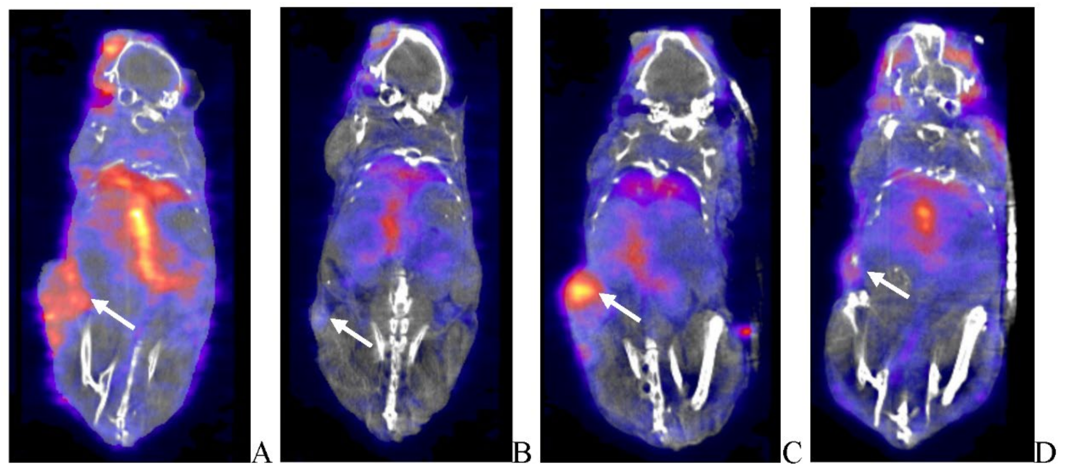 Preprints 105782 g011