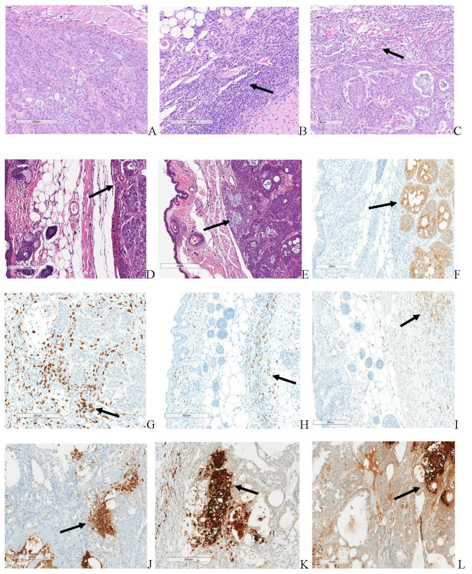 Preprints 105782 g014