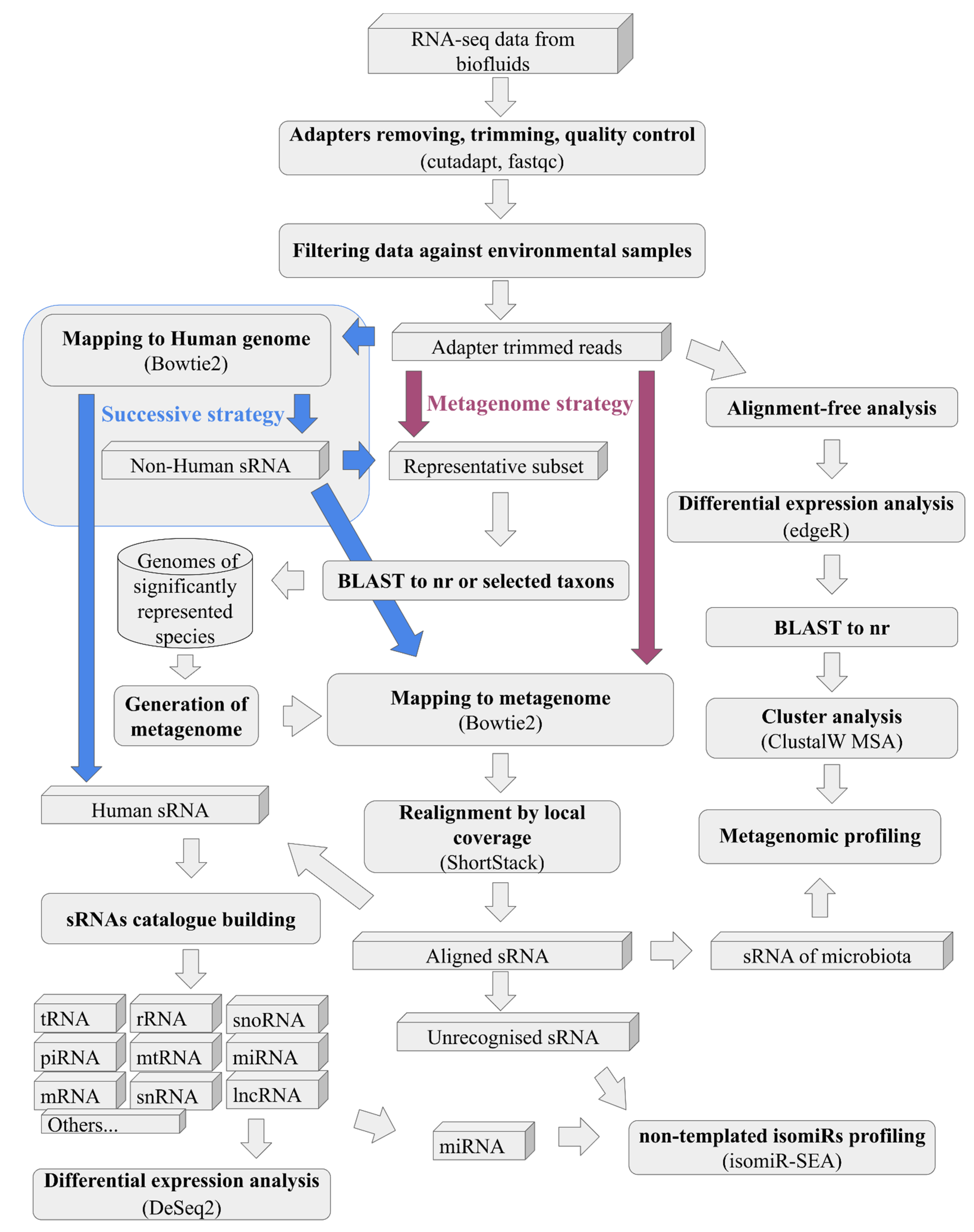 Preprints 94865 g002