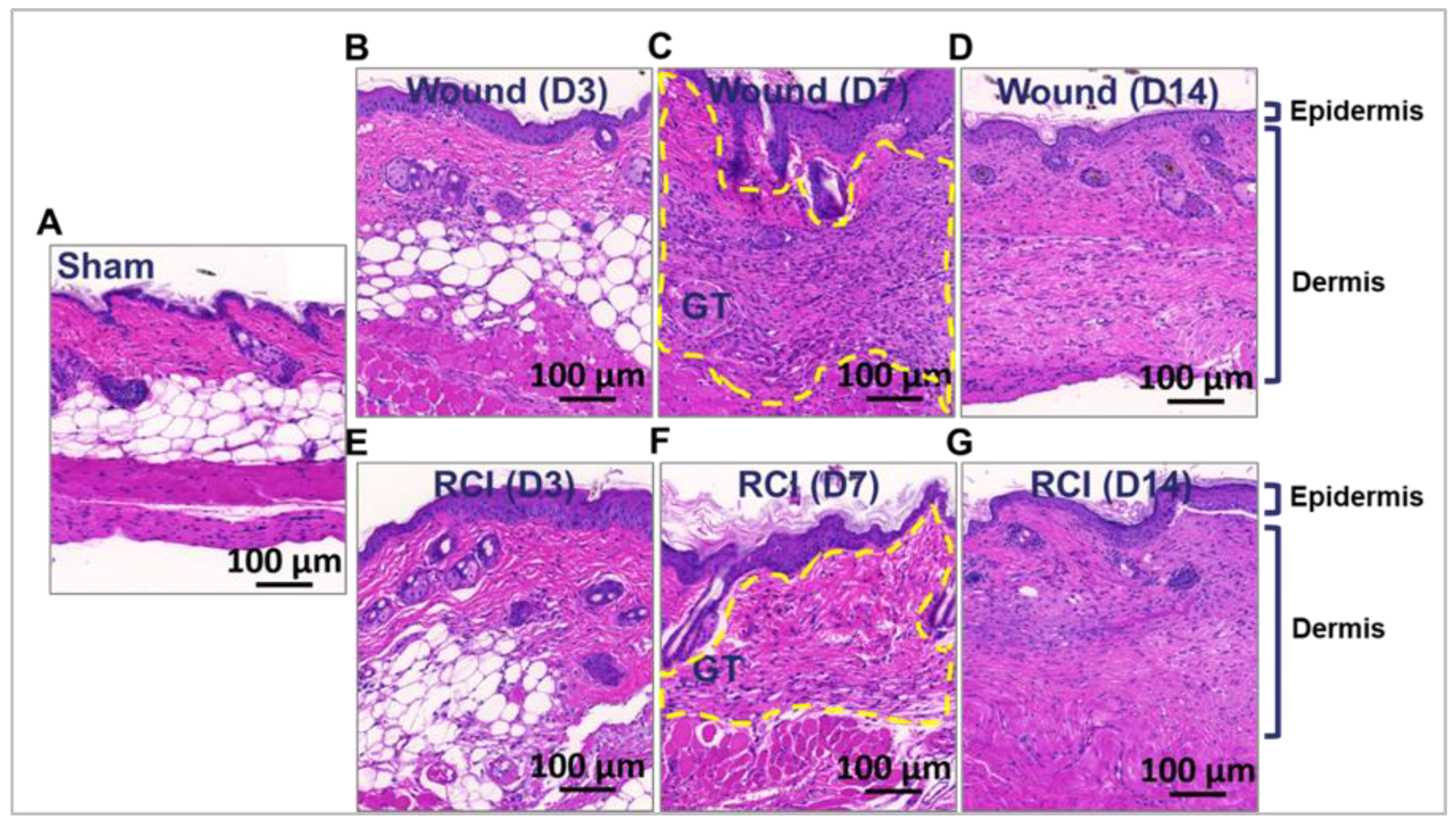 Preprints 138041 g003