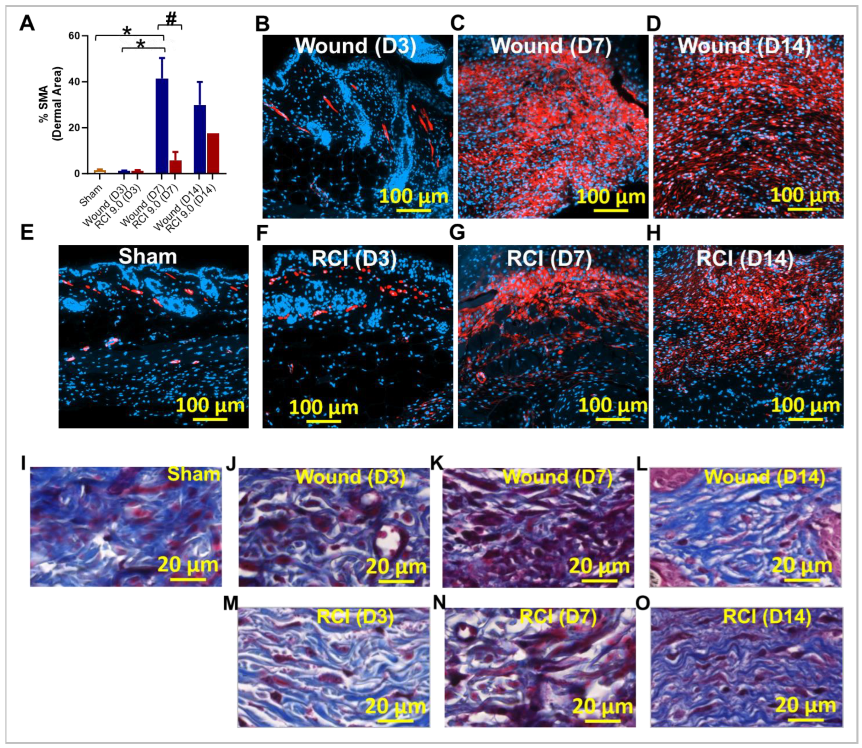 Preprints 138041 g008