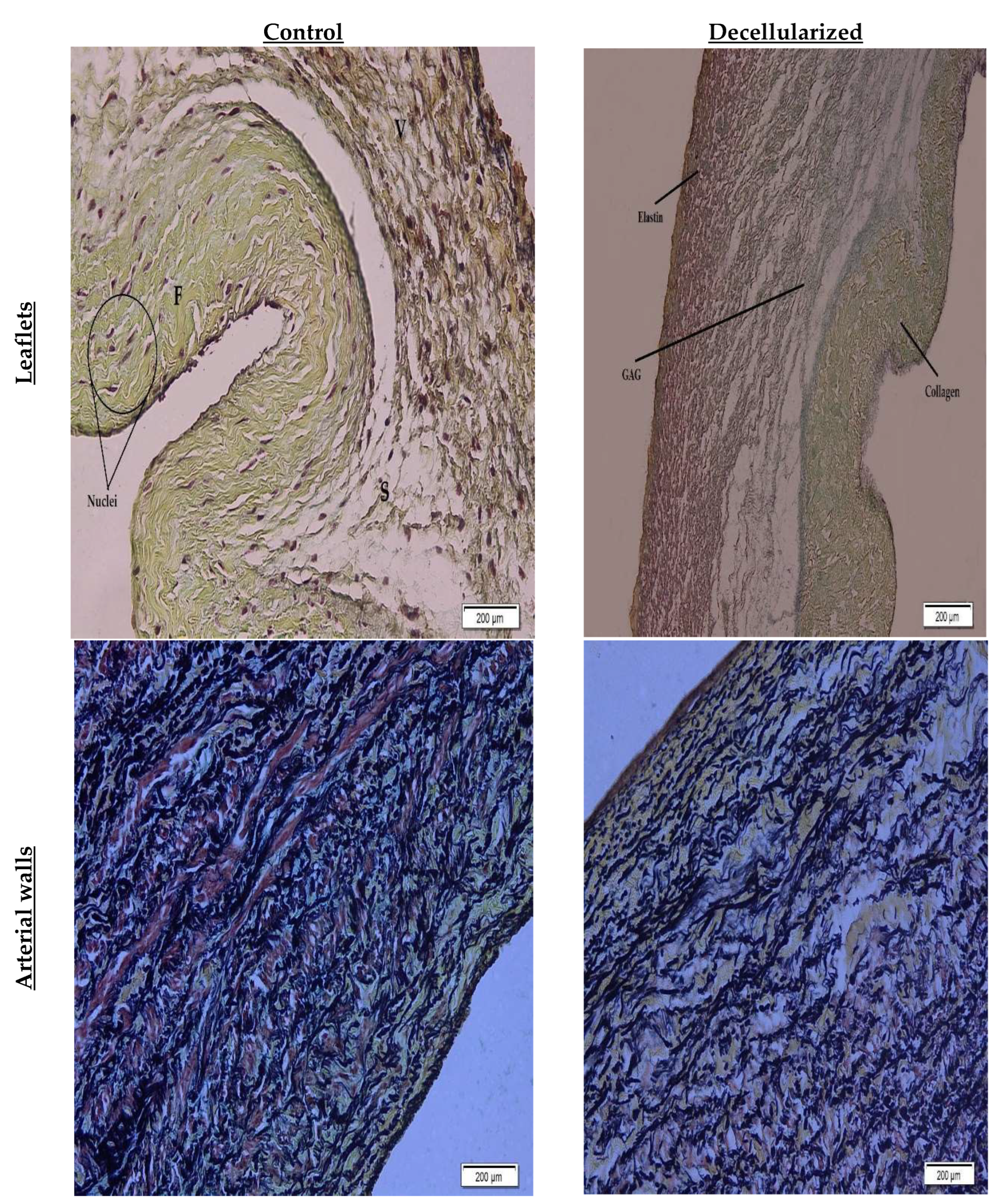 Preprints 74188 g006