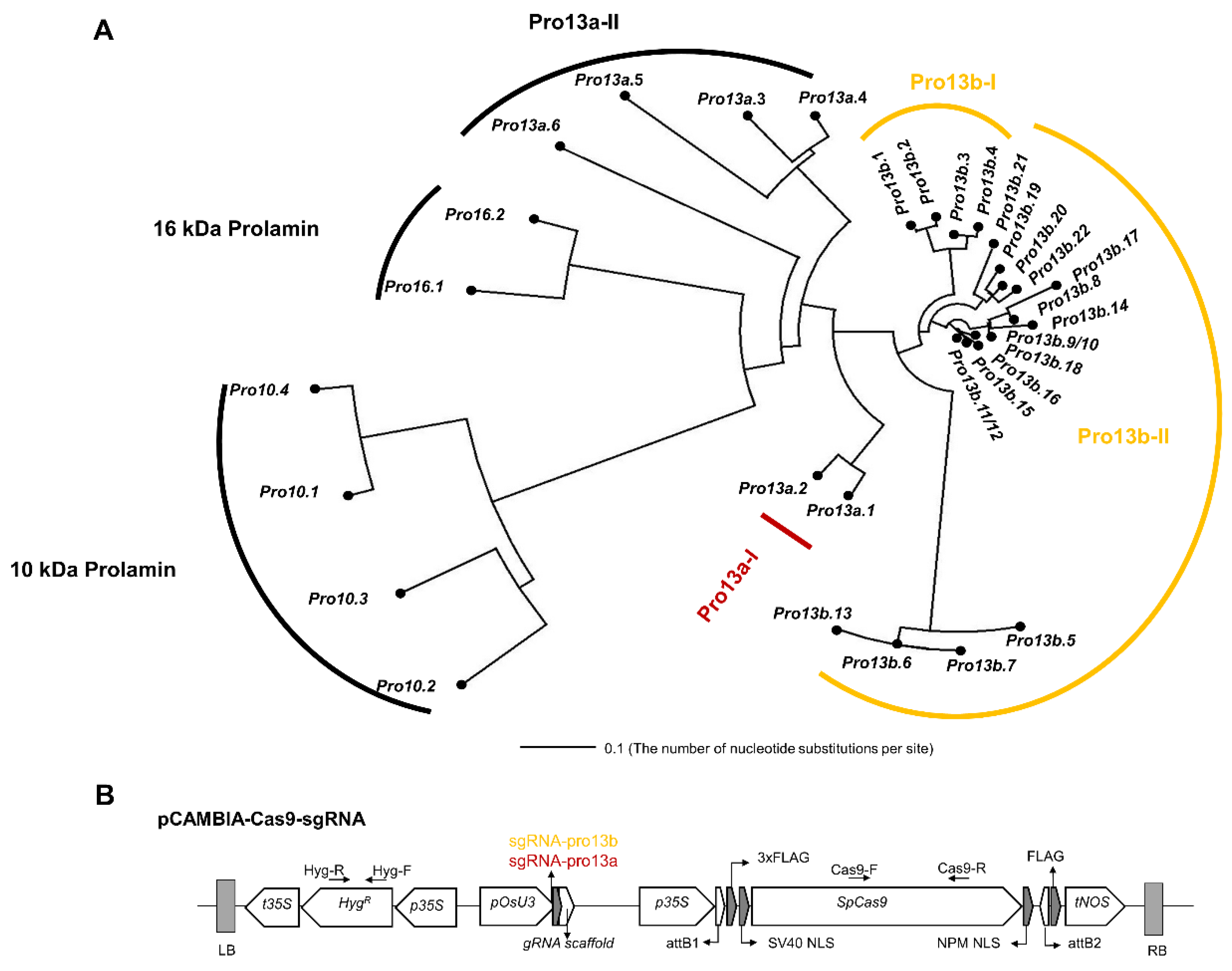 Preprints 106062 g001