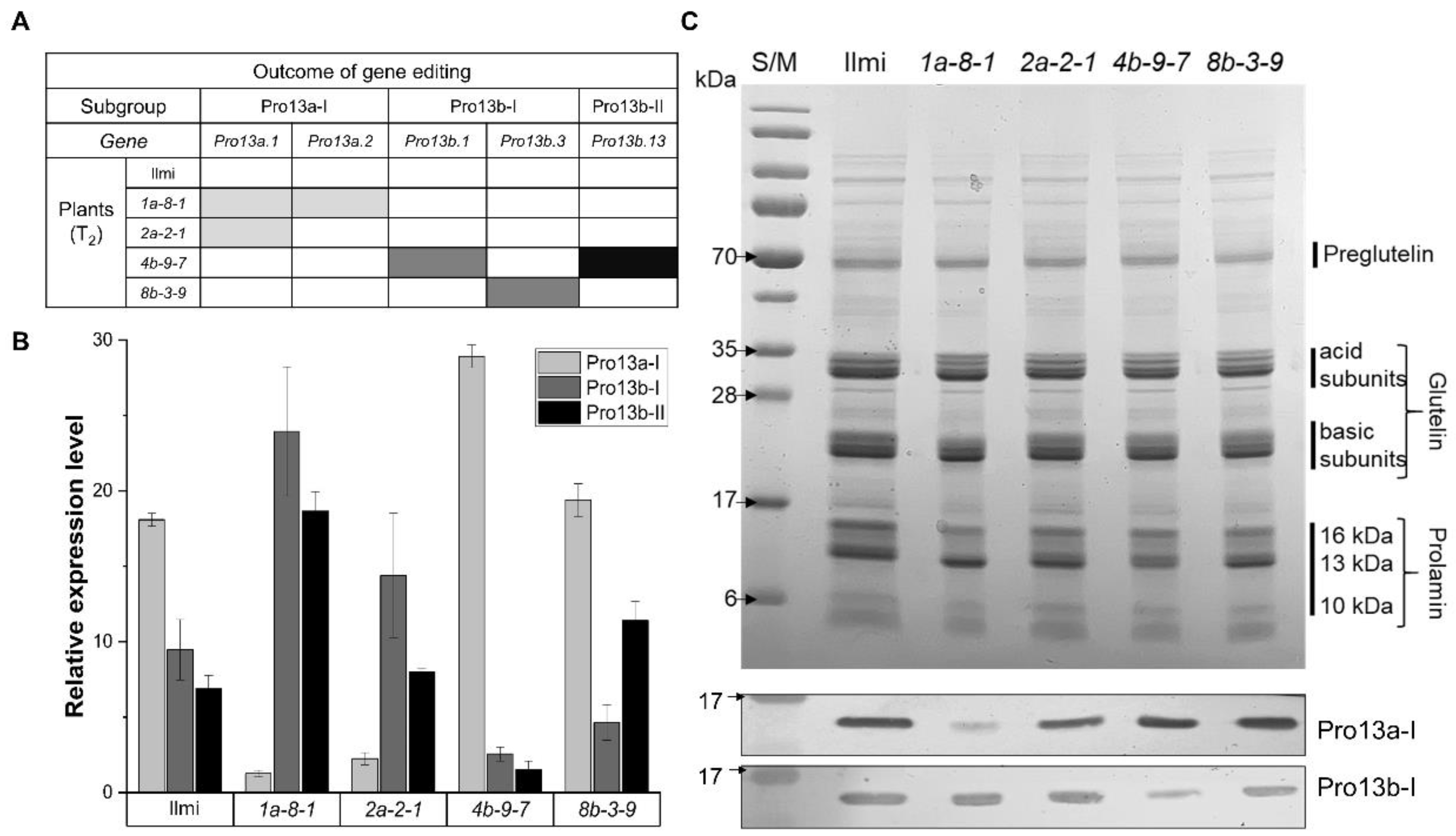 Preprints 106062 g002