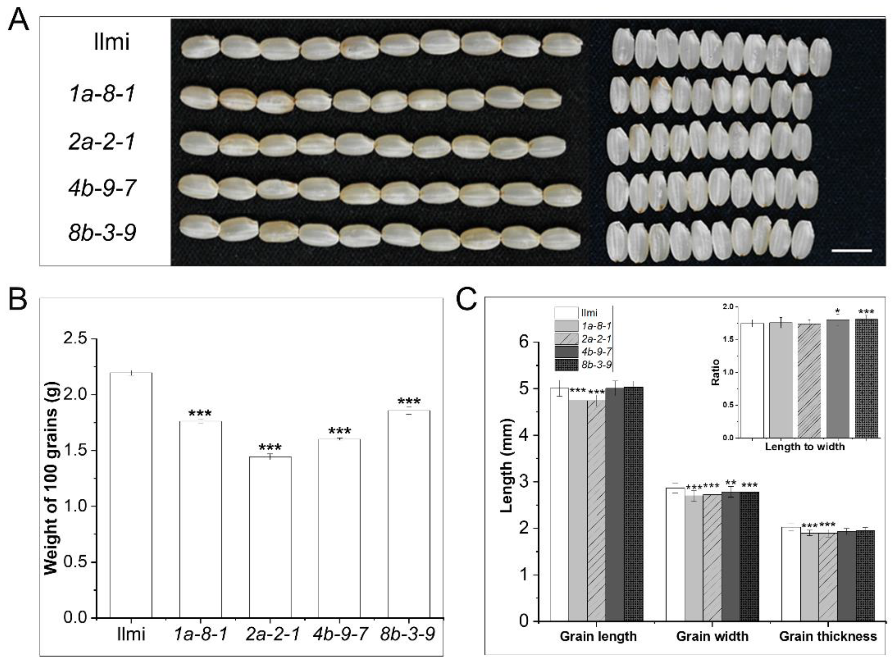 Preprints 106062 g003