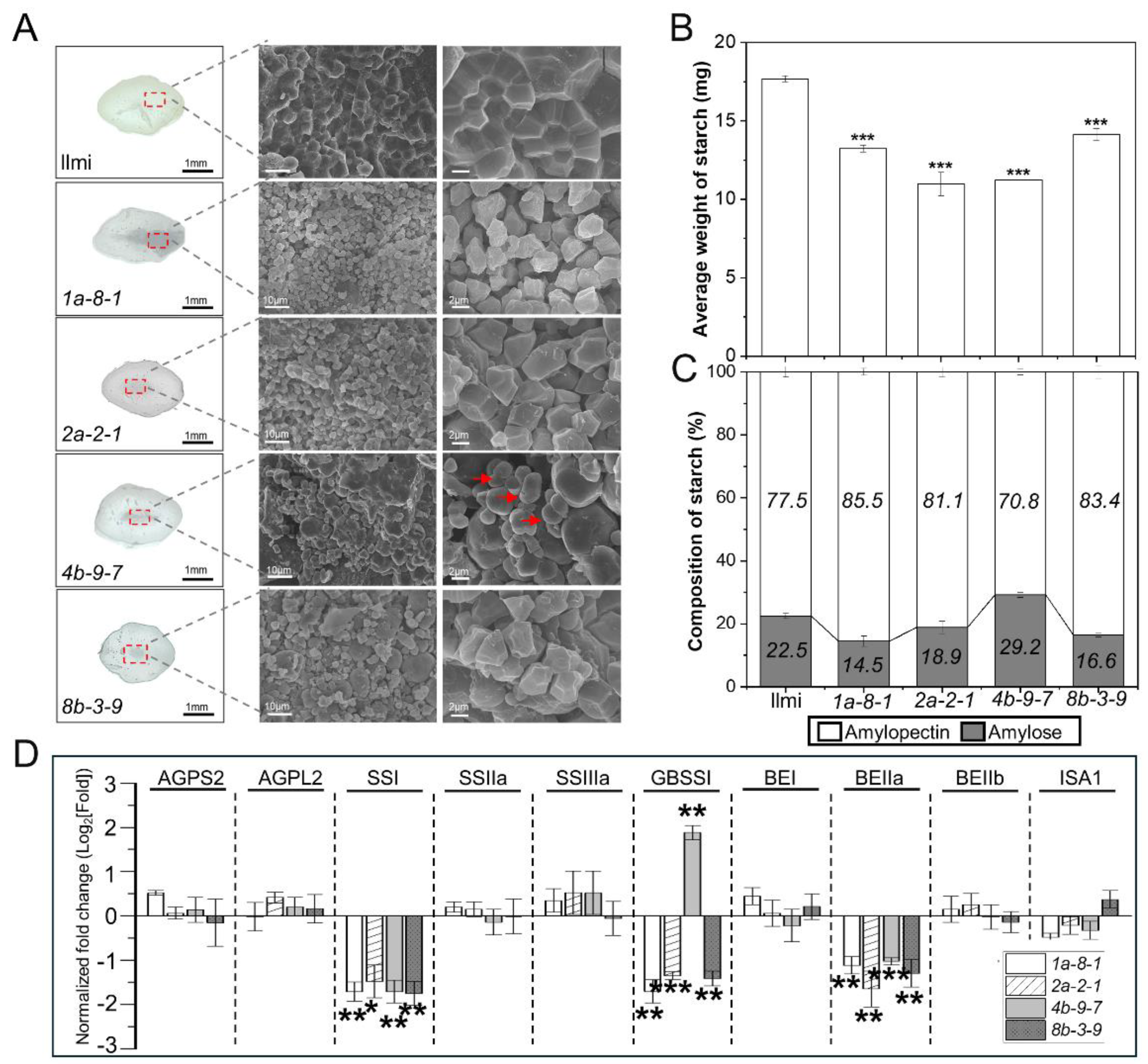 Preprints 106062 g004