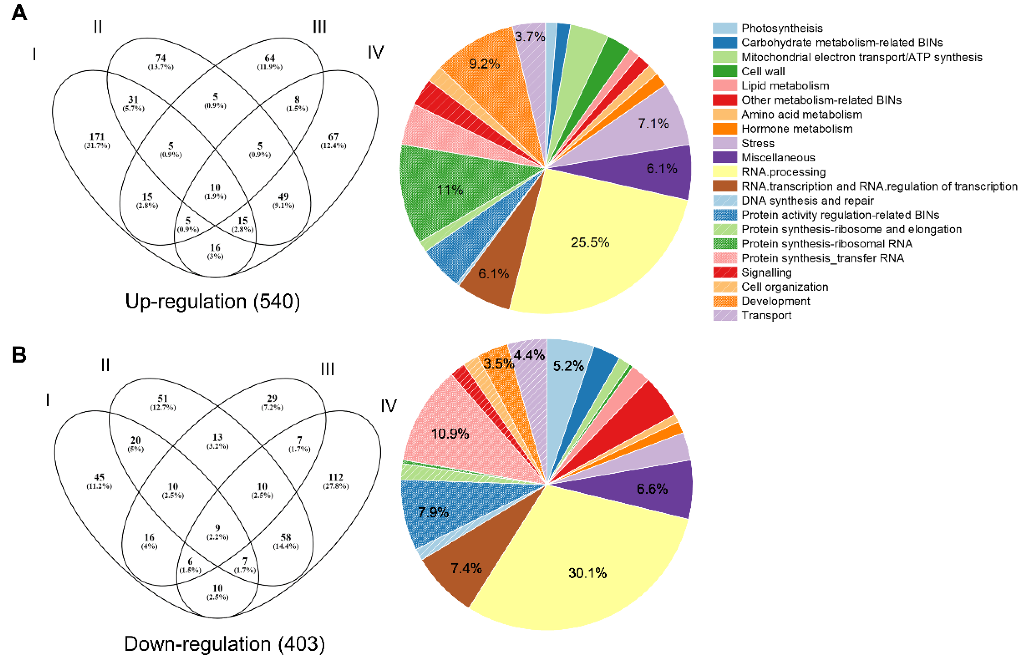 Preprints 106062 g006