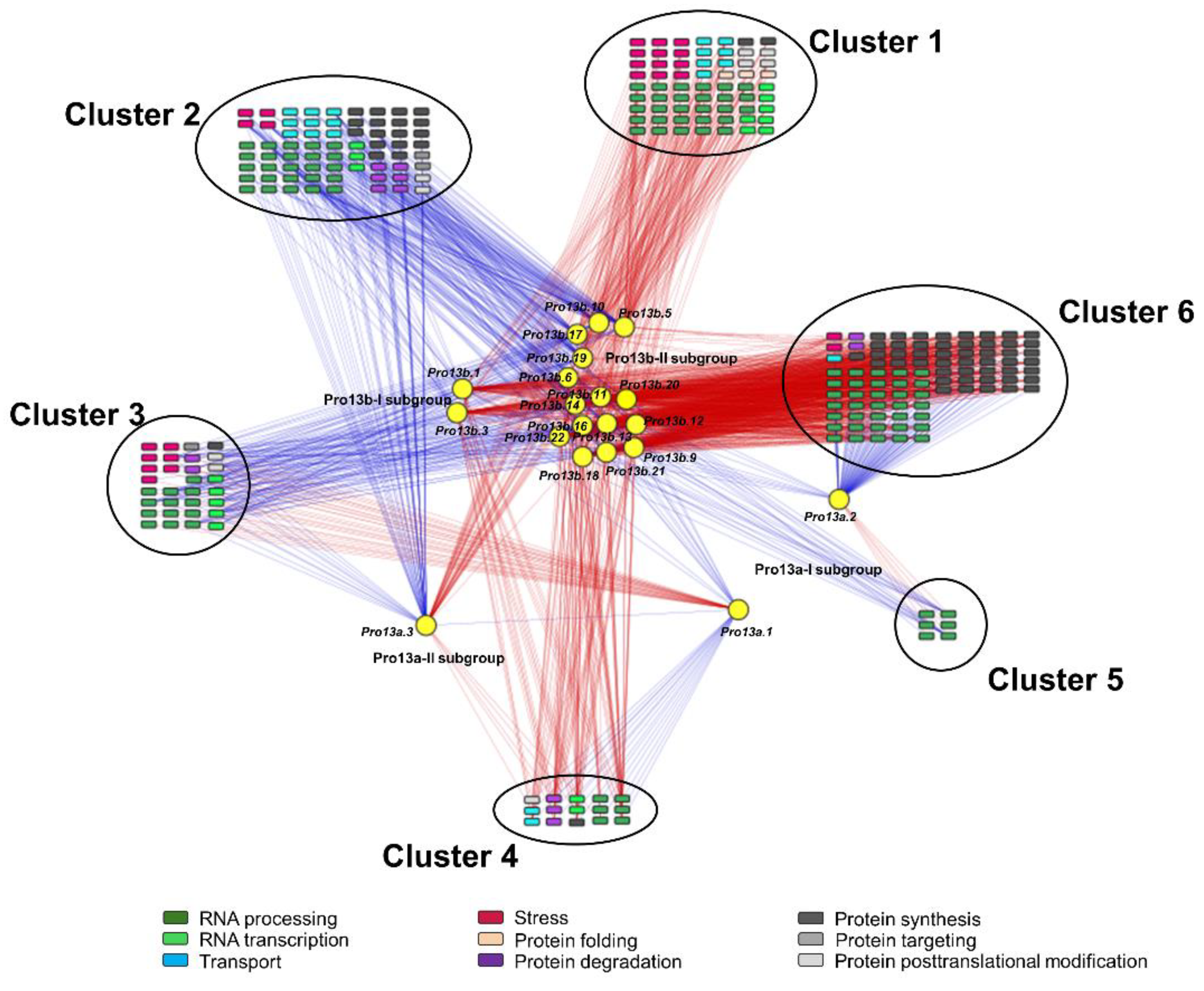 Preprints 106062 g007