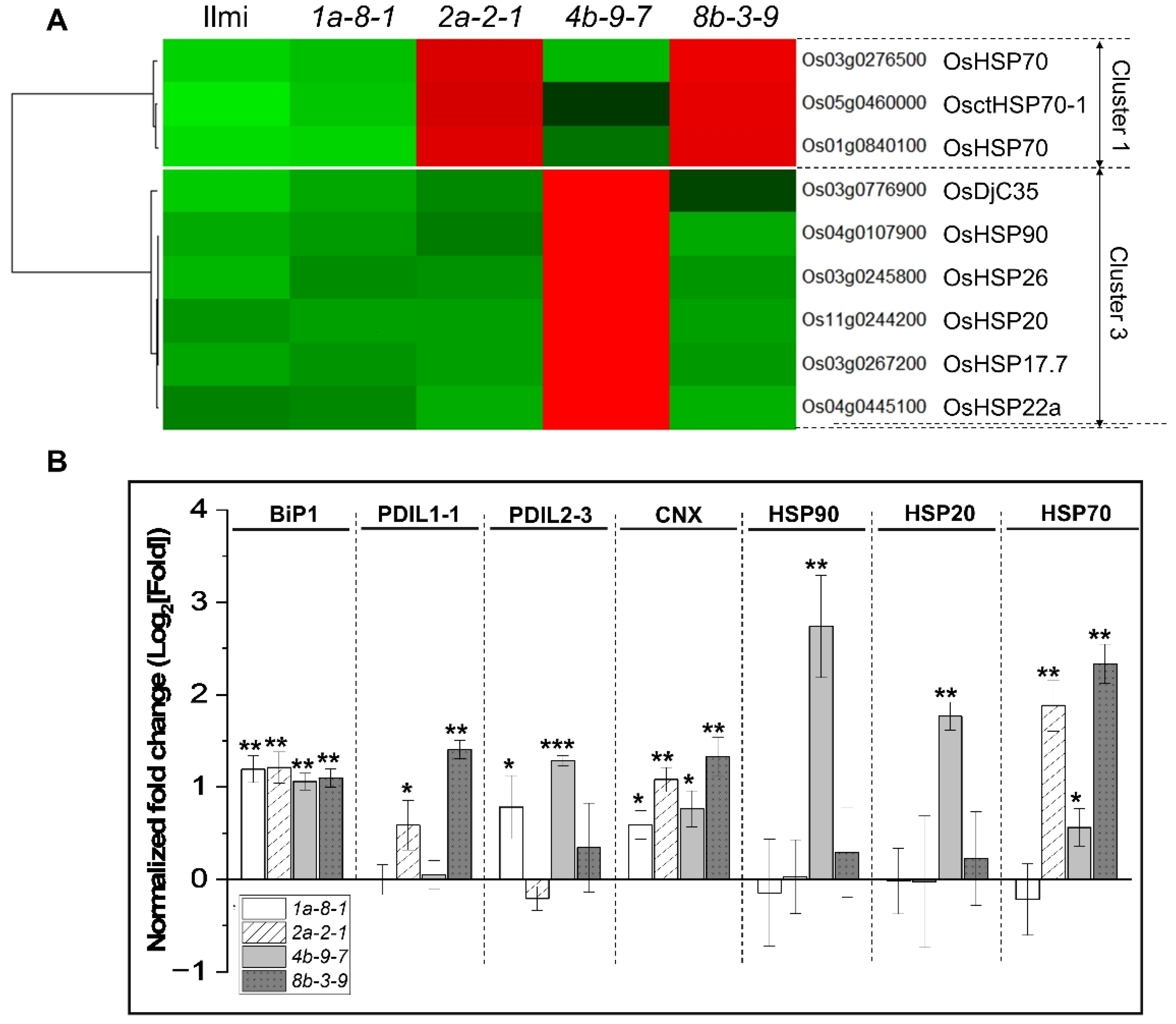 Preprints 106062 g008