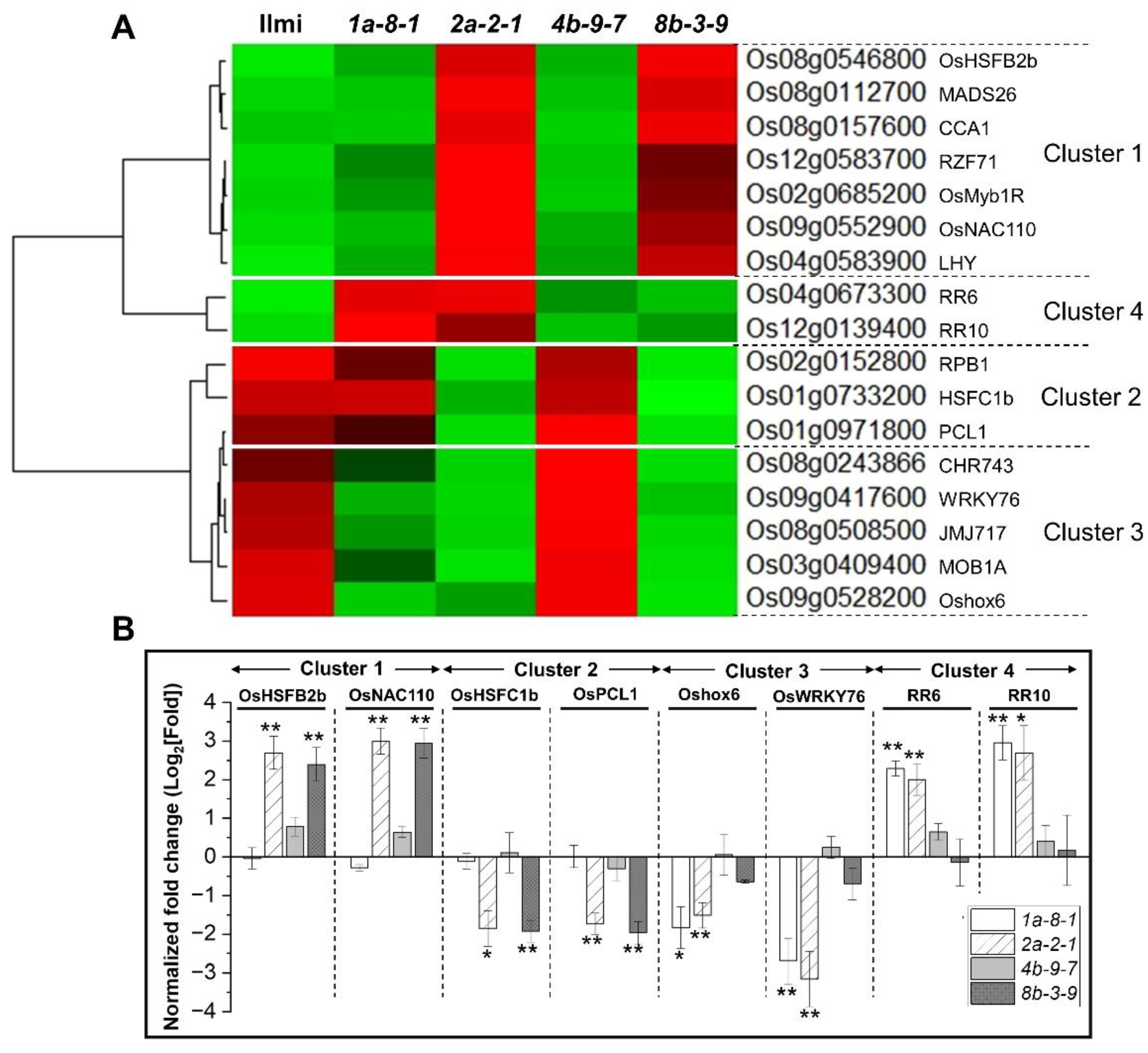 Preprints 106062 g009