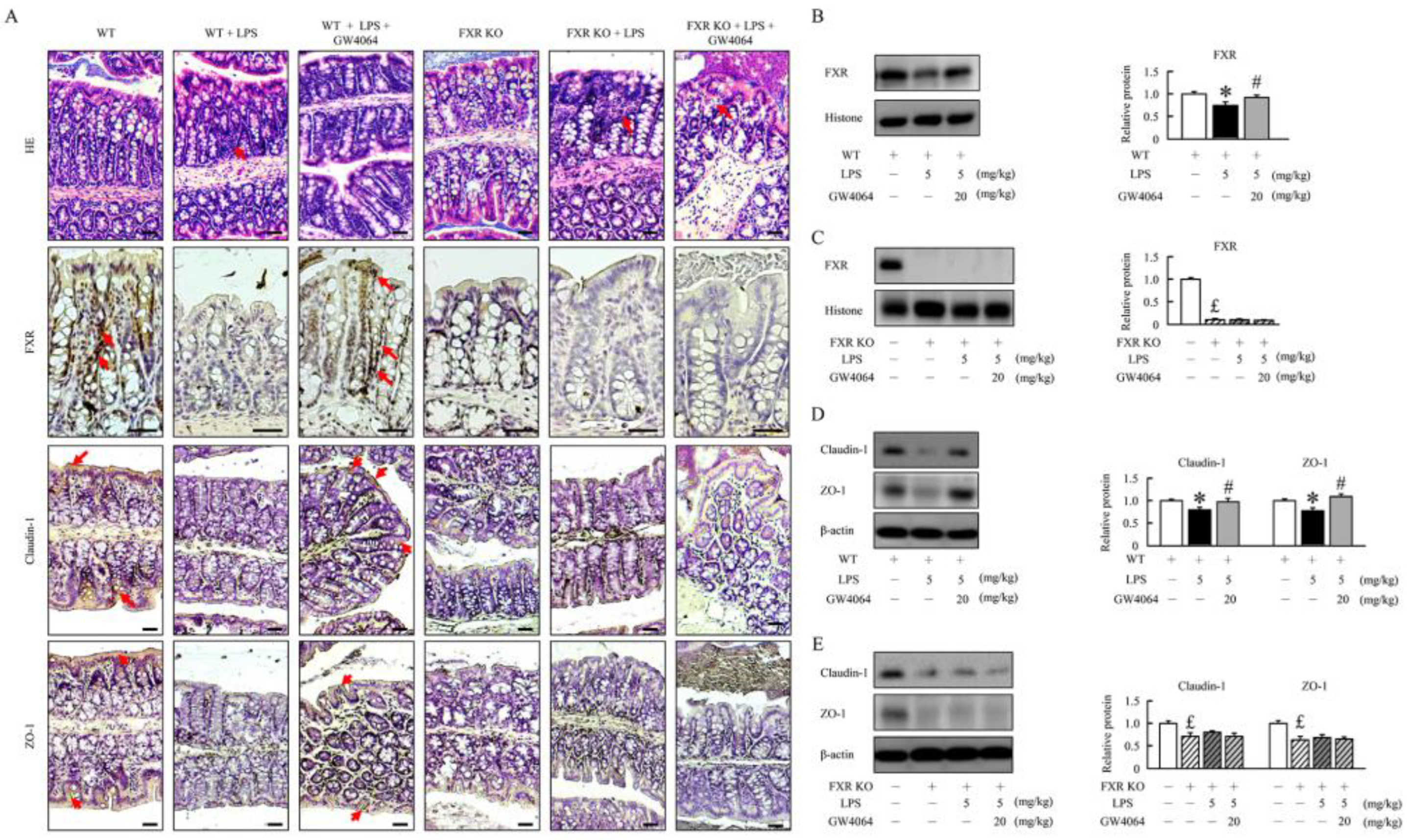 Preprints 88990 g001