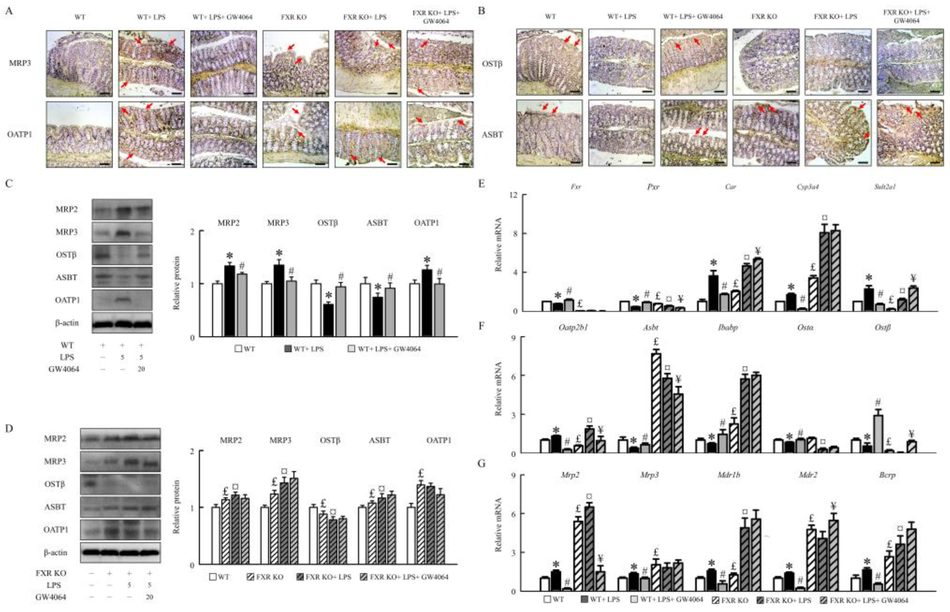 Preprints 88990 g003