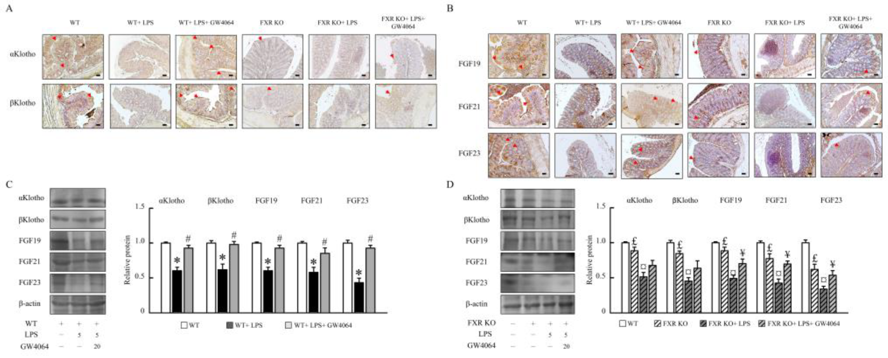 Preprints 88990 g004