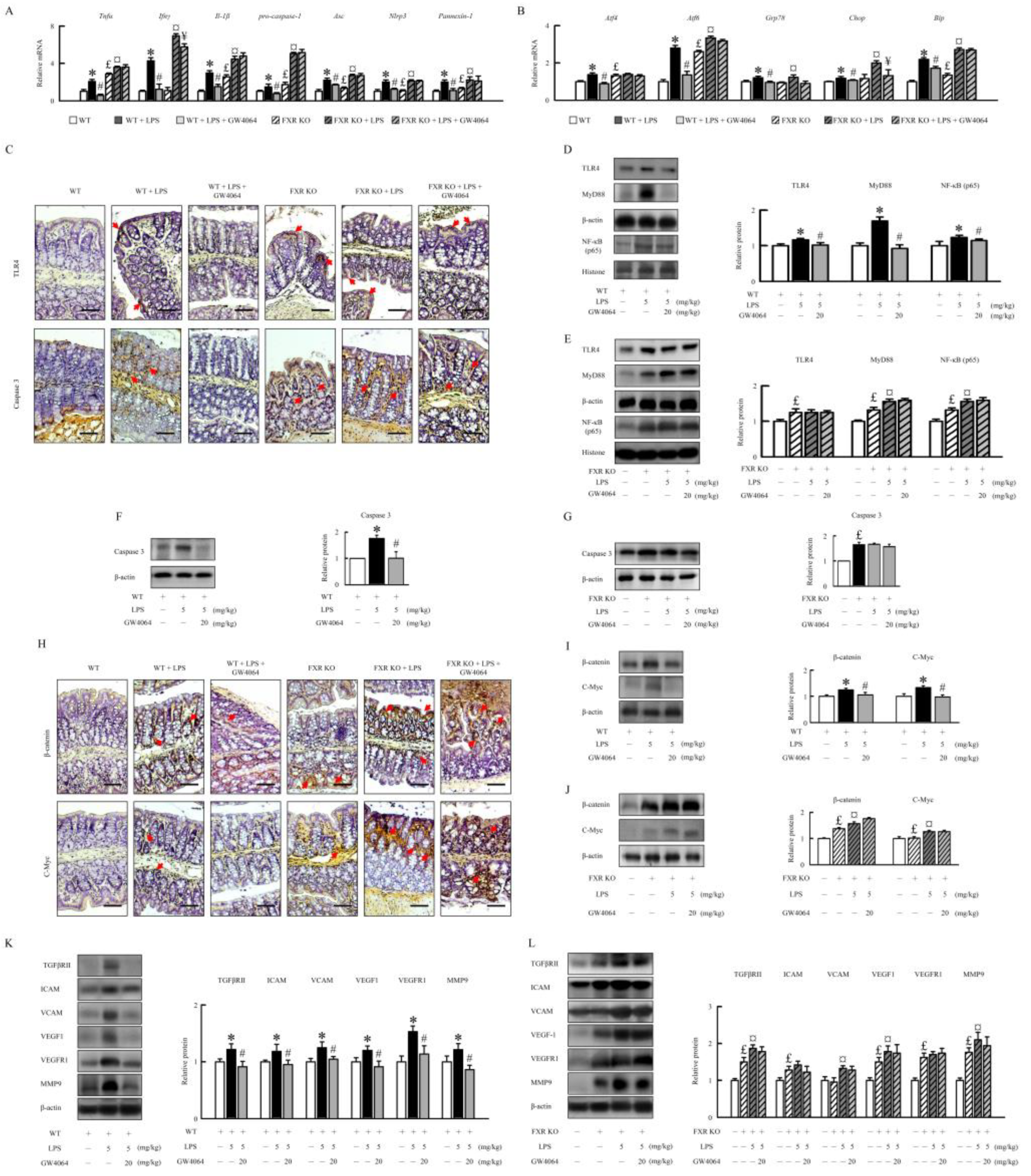 Preprints 88990 g005